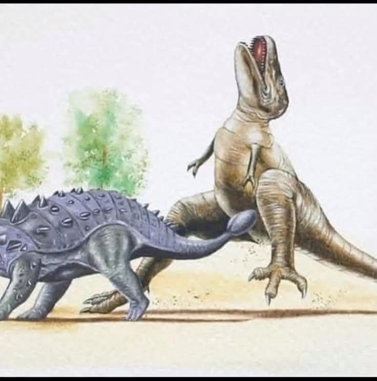 Ankylosaur giving a t rex a nut tap