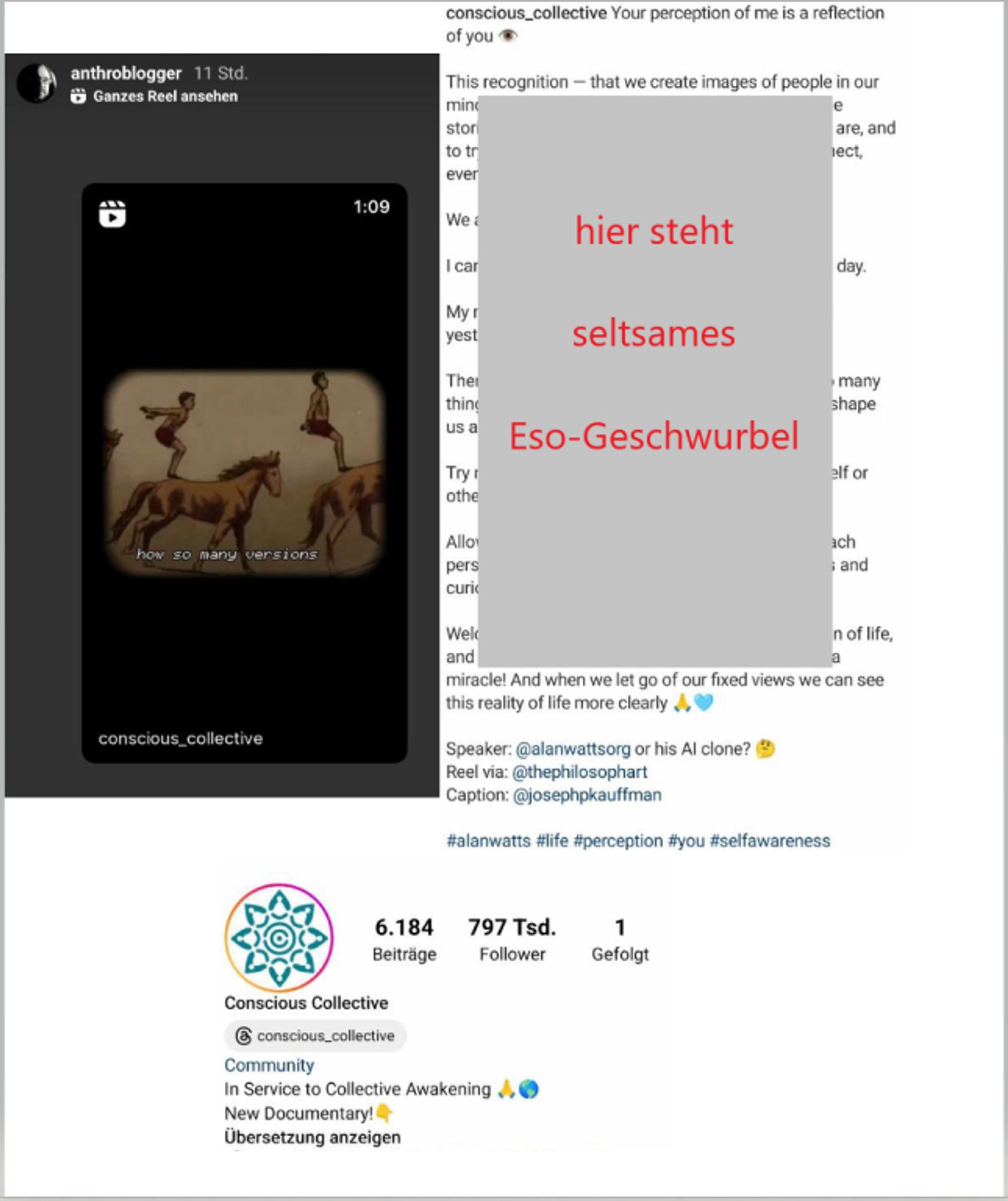 Screenshots wie Rautenberg auf Instagram einen seltsamen Eso-Lifecoaching Account teilt