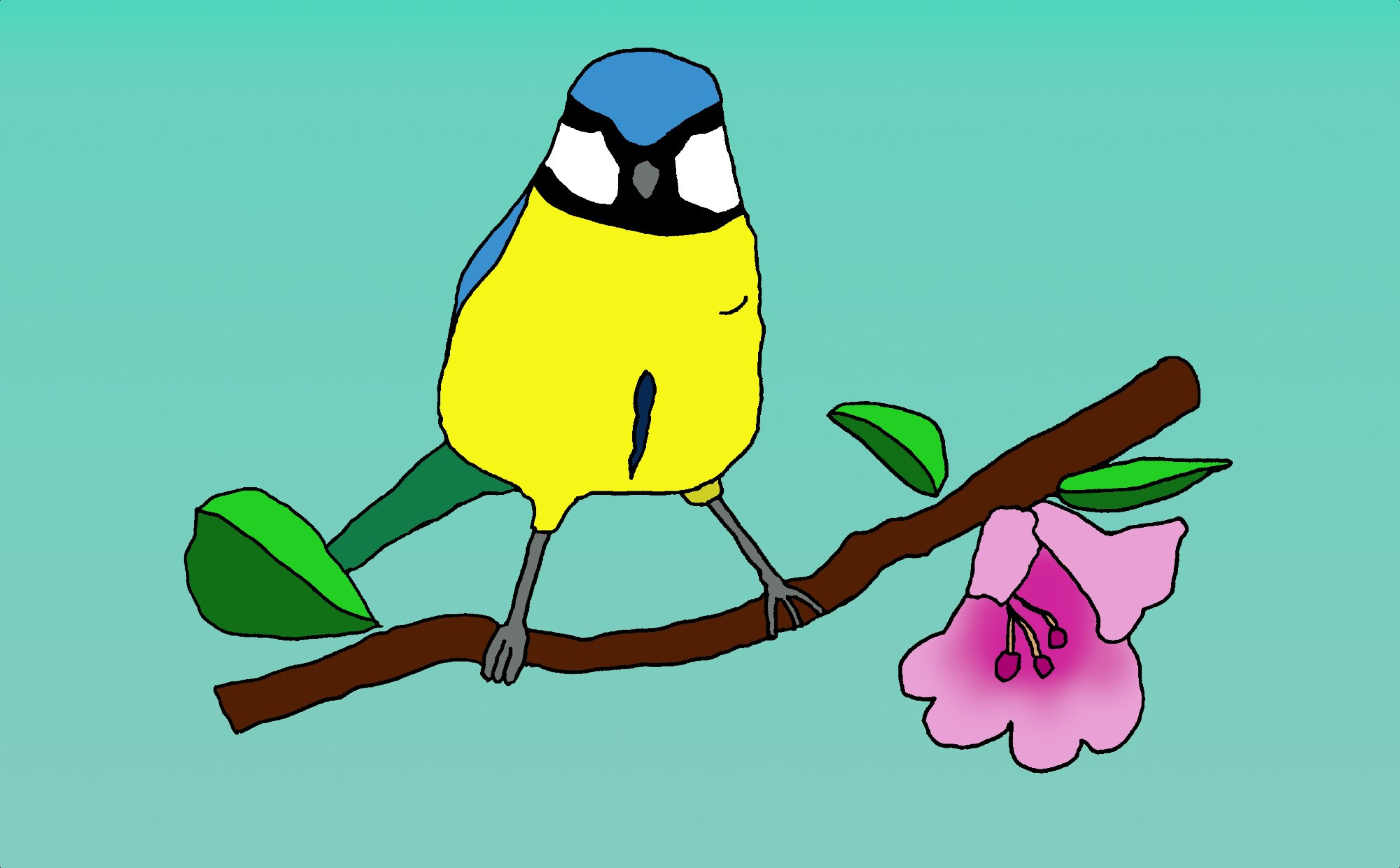 My illustration of a blue tit bird on a branch with blossom