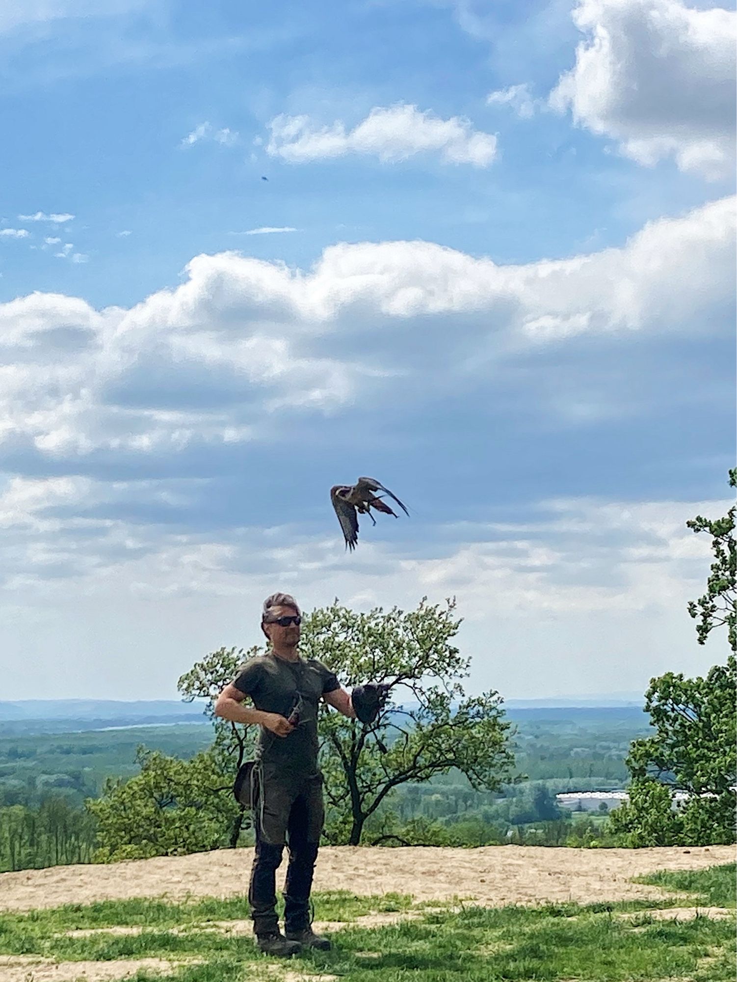 The falconer and his hawk