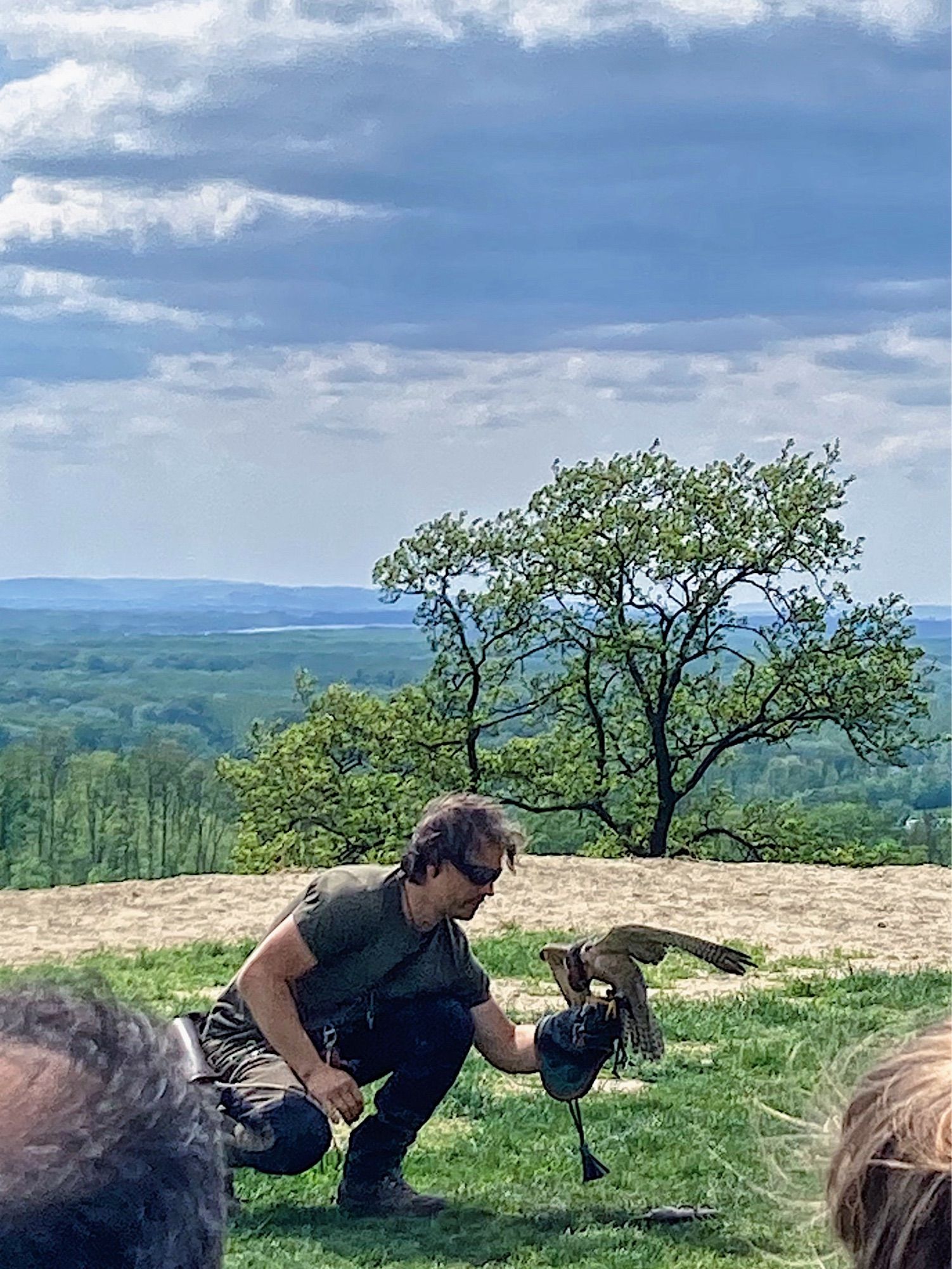 A falconer