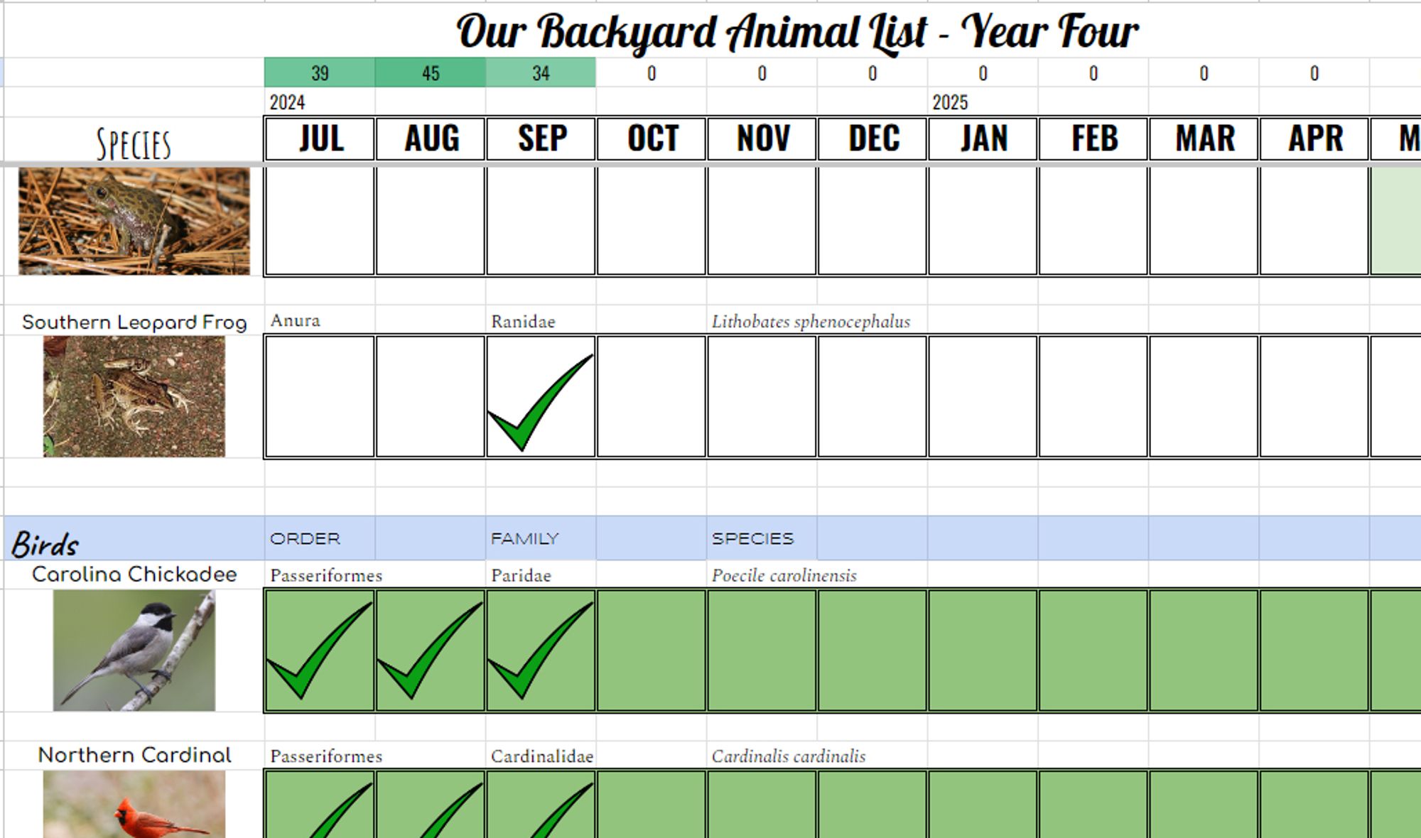 Backyard Animal Checklist spreadsheet with leopard frog added for this month.