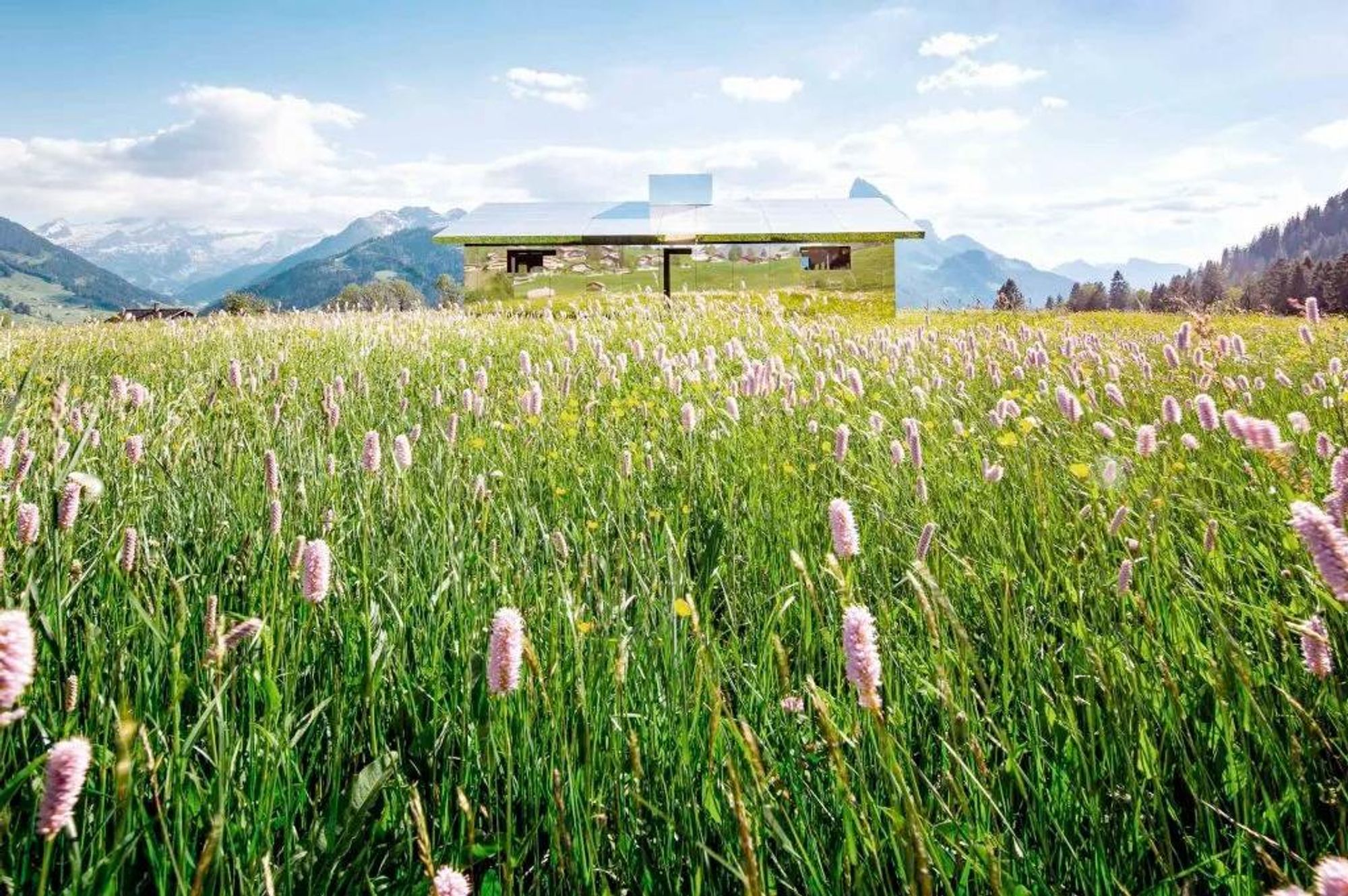 a house made of mirrors in a field of pink Persicaria bistorta flowers in Switzerland. Mountains in the background.