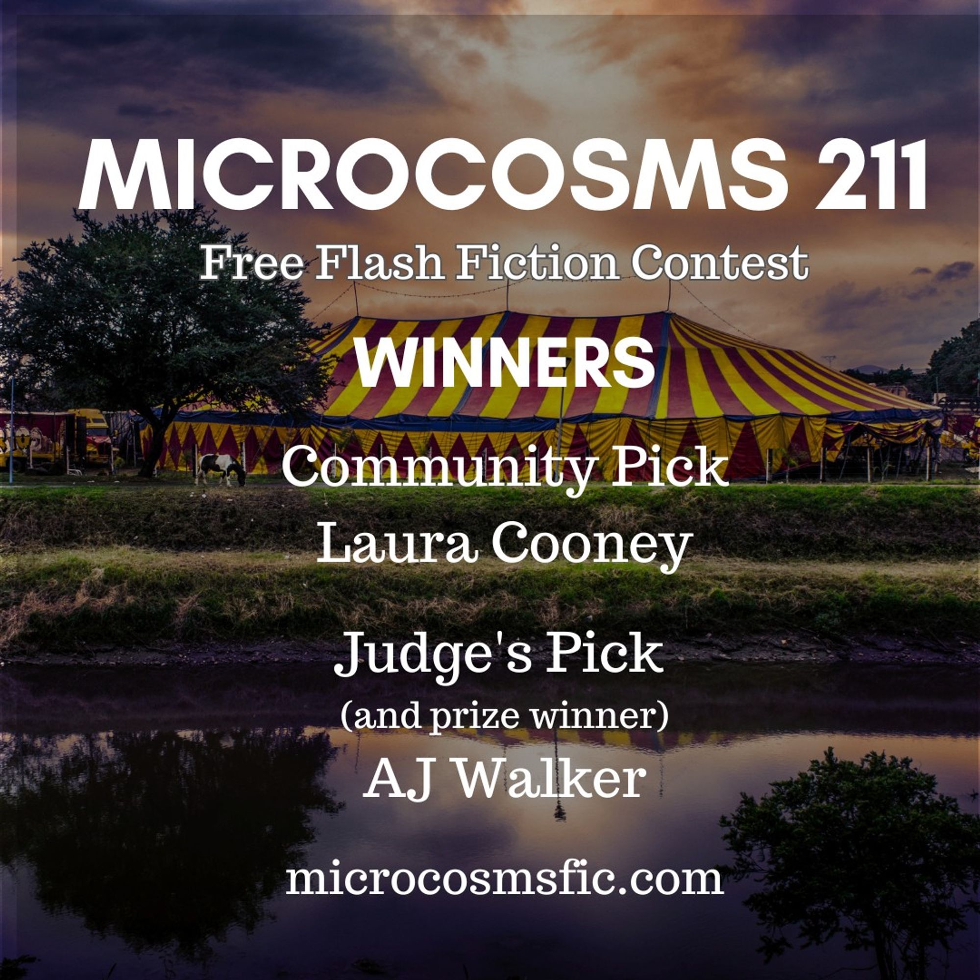 MICROCOSMS 211
Free Flash Fiction Contest
Winners
Community Pick Laura Cooney Judge's Pick (and prize winner) AJ Walker
microcosmsfic.com