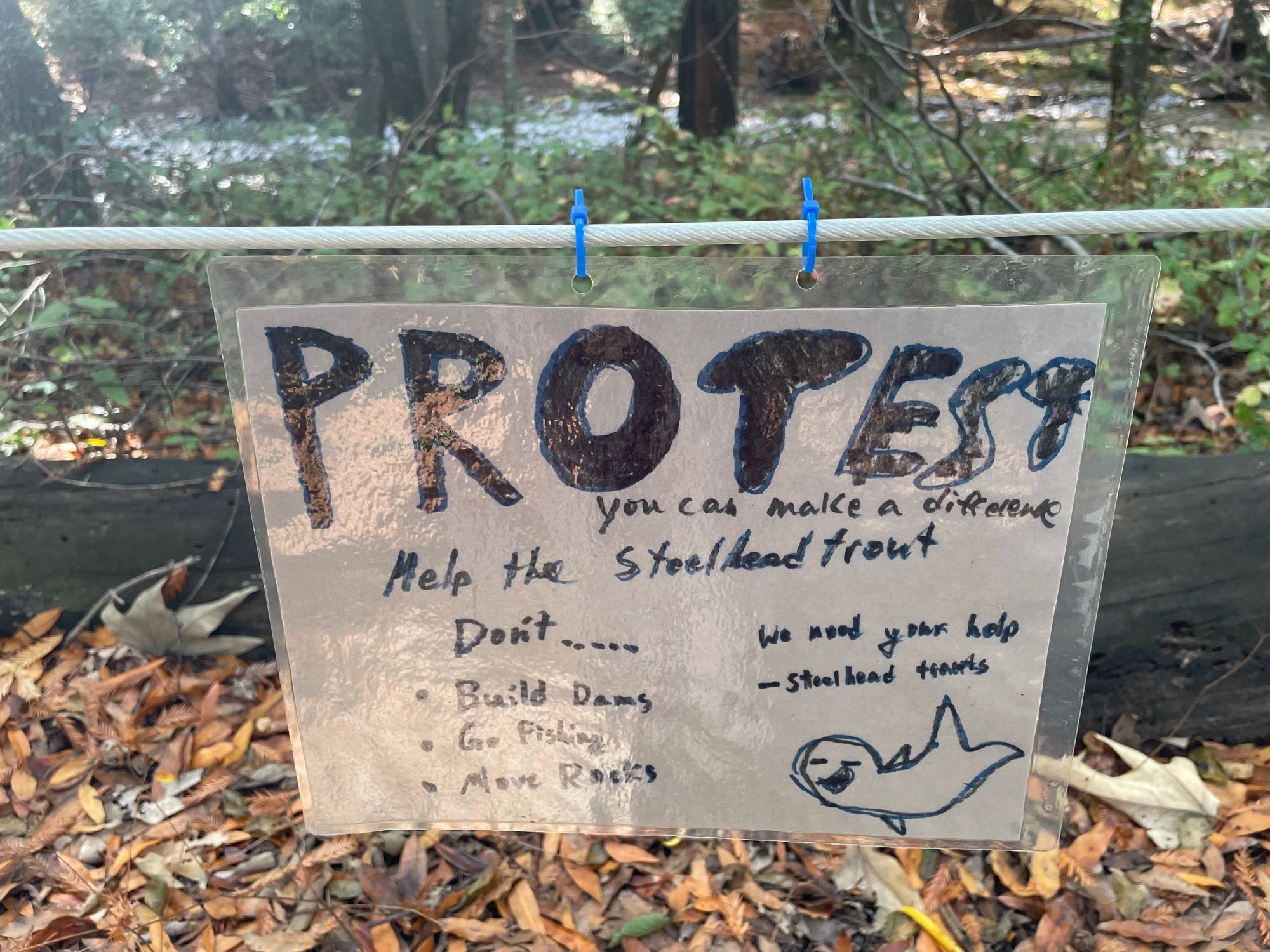 Children’s drawing posted along river saying “Protest, you can make a difference. Help the Steelhead trout. Don’t: Build dams, go fishing, move rocks”