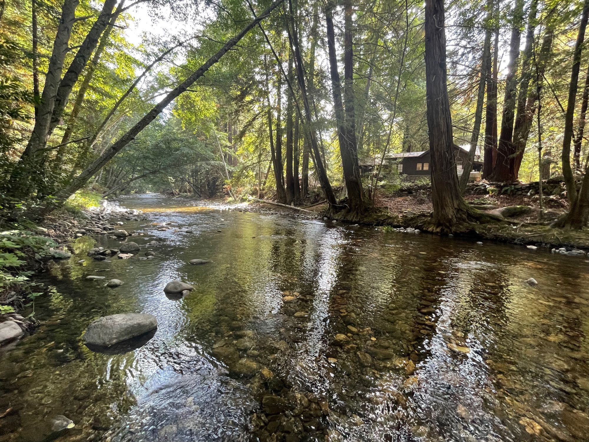 Big Sur River flowing through the redwood forest.