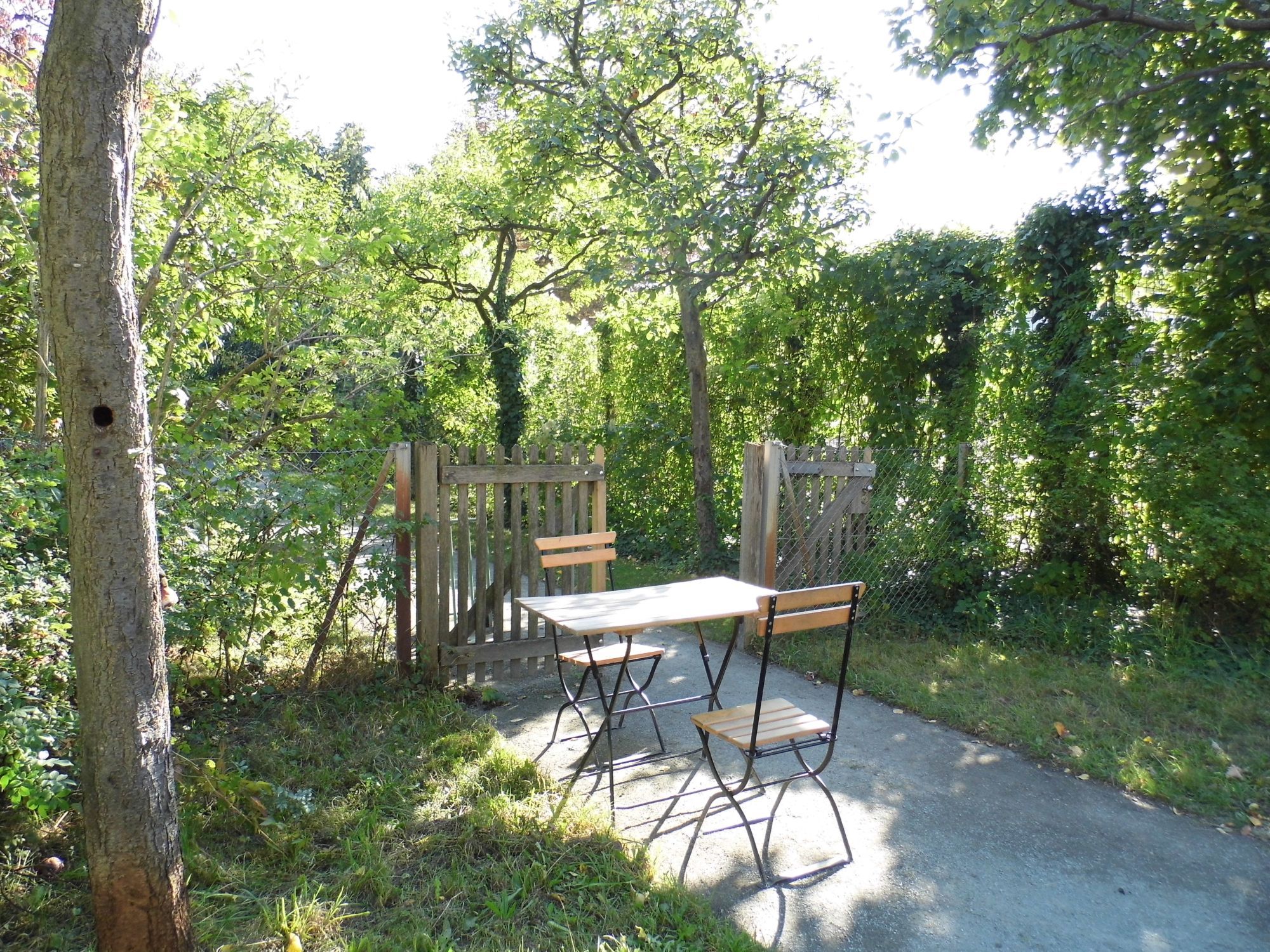 Wartende, leere Stühle (zwei) und Tischlein im Comenius-Garten. Dort sitzt oft ein alter Herr mit langem, weißen Bart und Haar, ein Philosoph, der den Garten ins Leben gerufen hat.