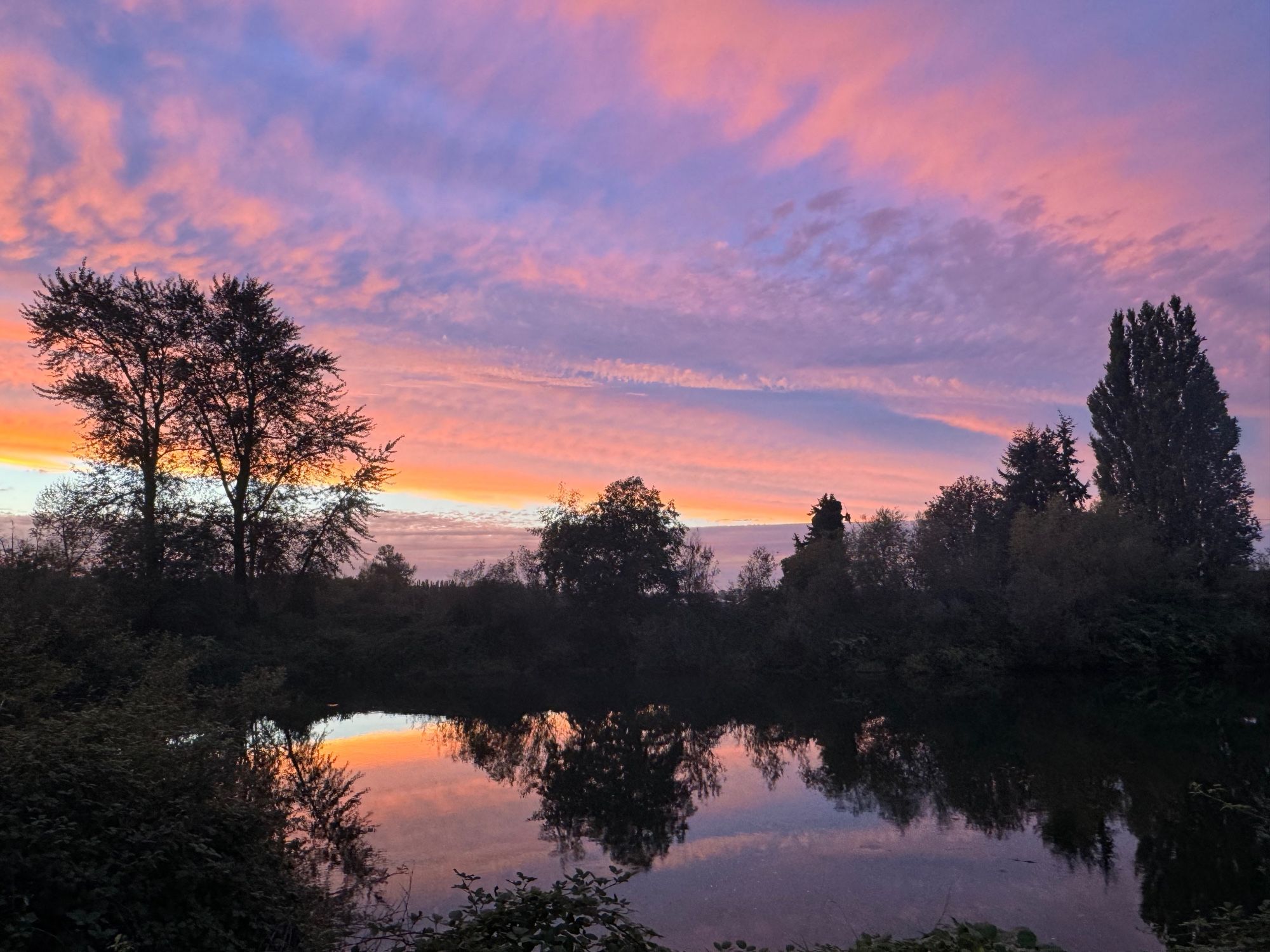 Clouds are tinted deep orange coral as sunset deepens over a river. A ring of dark trees shadows the river.