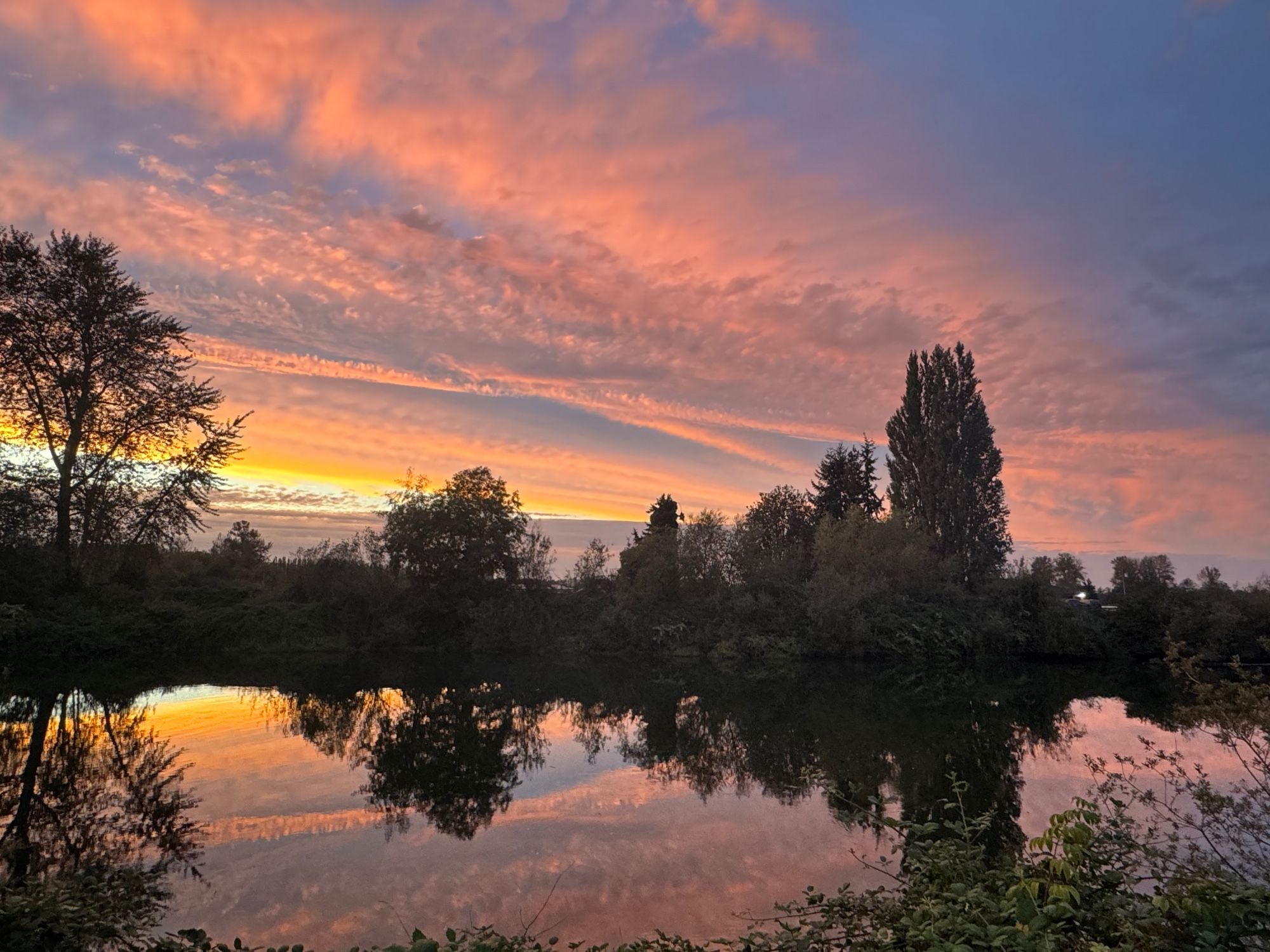 A long wedge of clouds is tinted coral and pink, with a teal base. The clouds are reflected on a broad river fringed by trees.