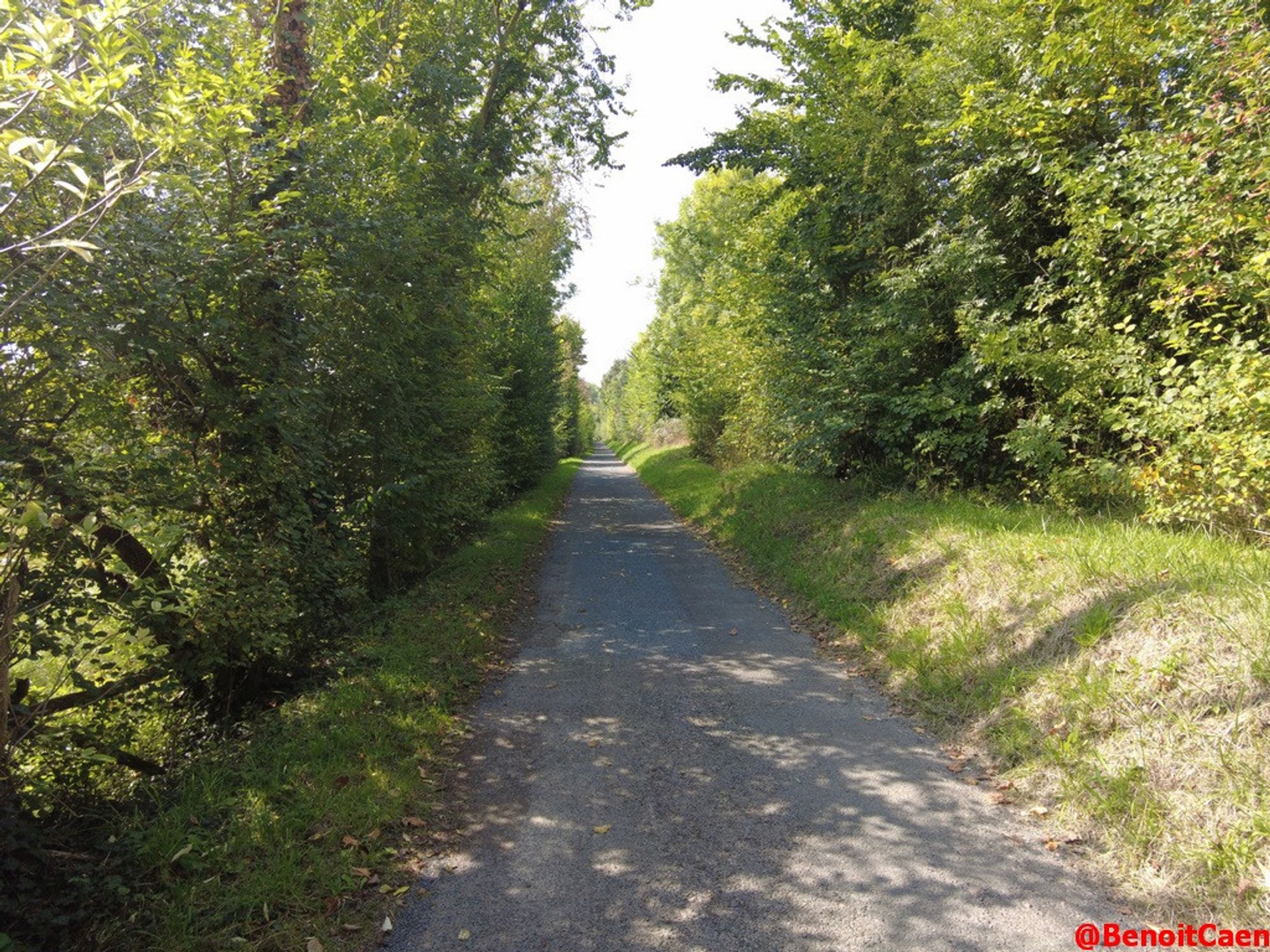 chemin près de Caen