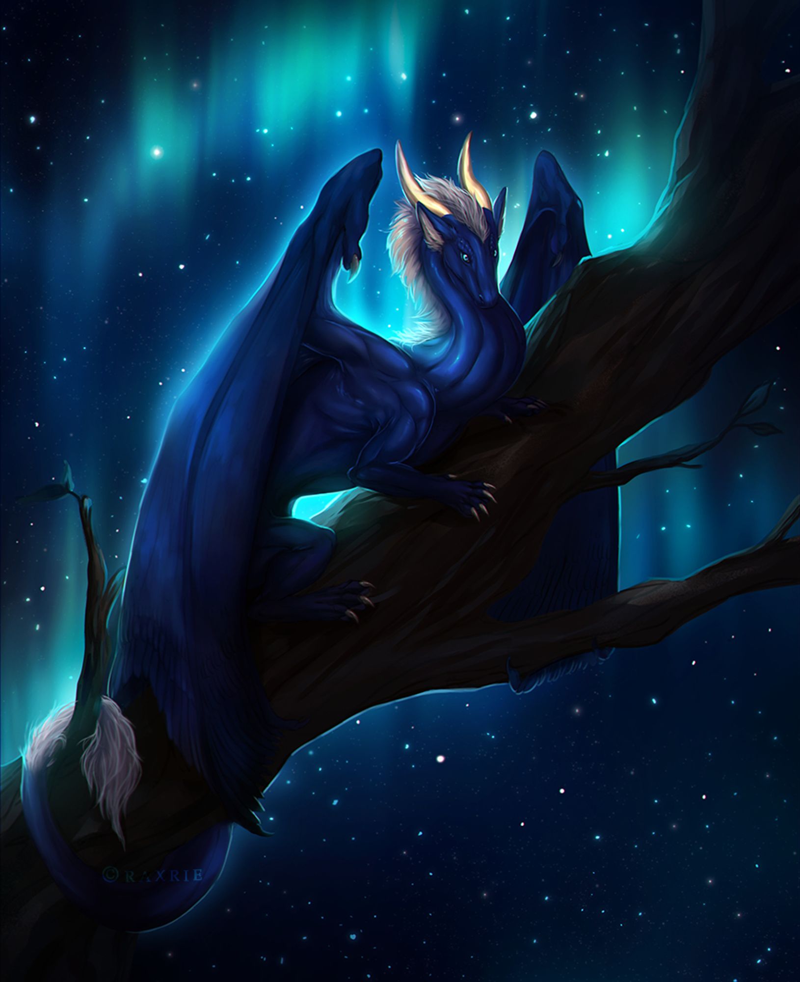 the dragon sits on a tree during the northern lights