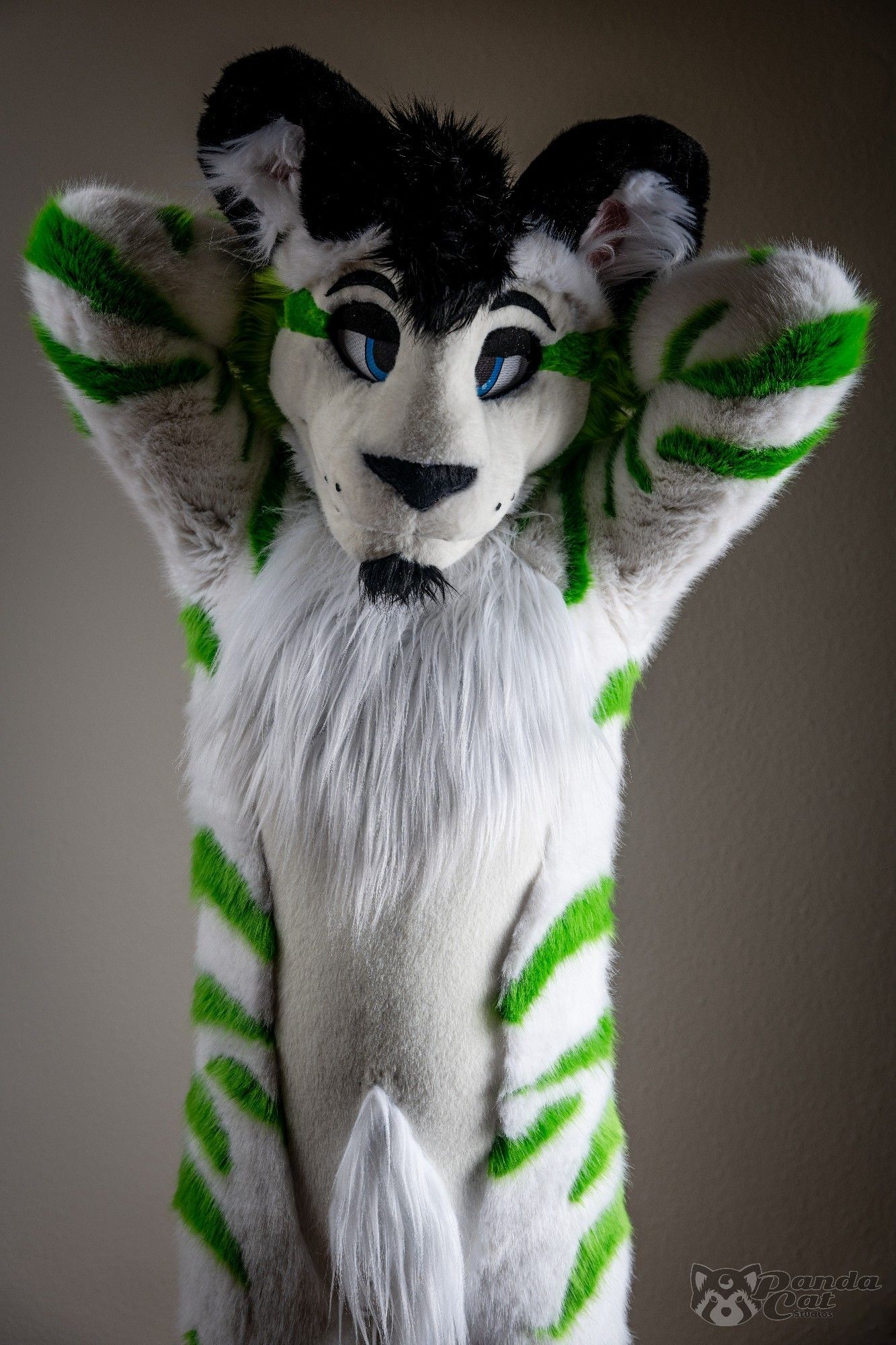 A form-fitting white tiger fursuit with green stripes stands facing the camera, both hands held behind his head, showing off his soft, short-pile tummy fur, and long flowing chest fur. His eyelids are semi-closed, giving him a "bedroom eyes" look.