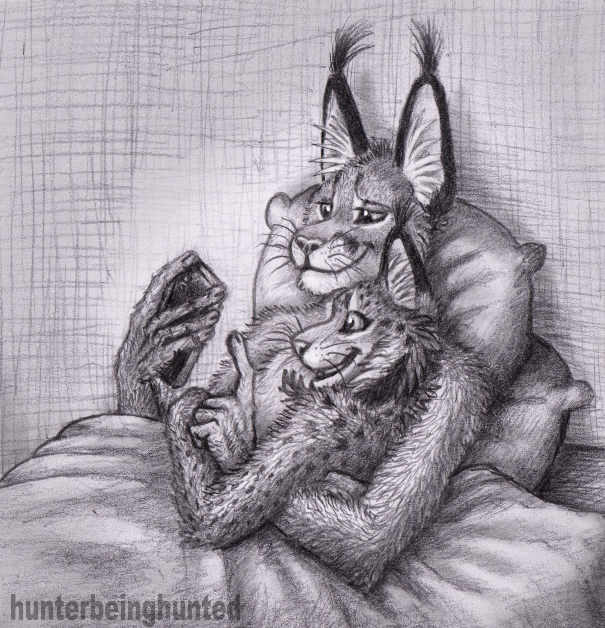 A couple, anthro caracal and anthro lynx, cuddling in bed and scrolling on the phone.