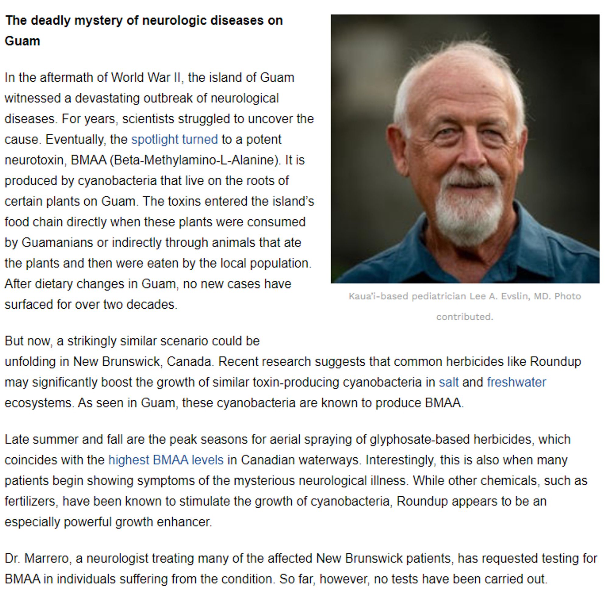 The deadly mystery of neurologic diseases on Guam

In the aftermath of World War II, the island of Guam witnessed a devastating outbreak of neurological diseases. For years, scientists struggled to uncover the cause. Eventually, the spotlight turned to a potent neurotoxin, BMAA (Beta-Methylamino-L-Alanine). It is produced by cyanobacteria that live on the roots of certain plants on Guam. The toxins entered the island’s food chain directly when these plants were consumed by Guamanians or indirectly through animals that ate the plants and then were eaten by the local population. After dietary changes in Guam, no new cases have surfaced for over two decades.

But now, a strikingly similar scenario could be unfolding in New Brunswick, Canada. Recent research suggests that common herbicides like Roundup may significantly boost the growth of similar toxin-producing cyanobacteria in salt and freshwater ecosystems. As seen in Guam, these cyanobacteria are known to produce BMAA.

Late summer an