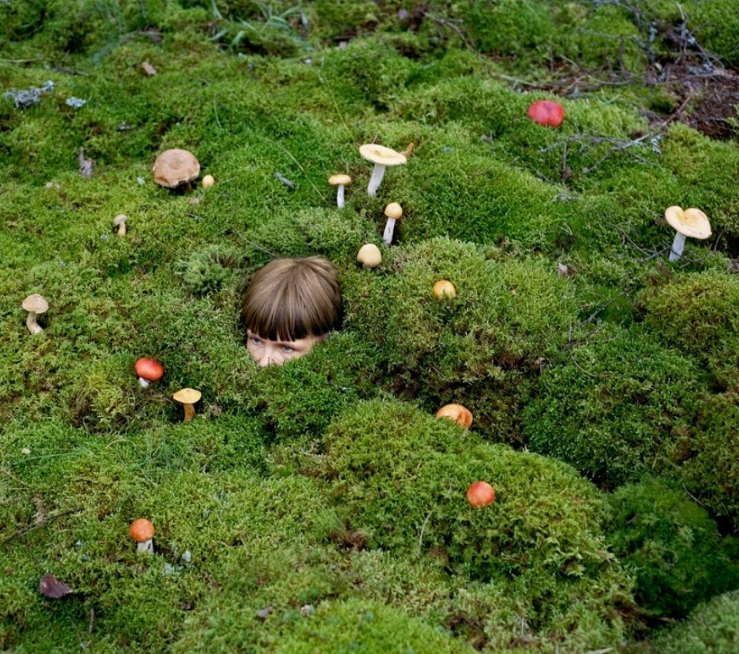 Photography. A color photo of a young woman who appears to be immersed in a forest floor overgrown with mushrooms. The photo shows a slightly hilly ground covered with green moss. Various mushrooms grow scattered in the greenery. Half a woman's head grows in the middle of the picture. A young woman with short brown hair and blue eyes looks out of the moss up to her nose. (The photo was arranged, the woman covered with moss and integrated into the landscape).
Info: Hailing from the deep forests of Eastern Finland, Riitta Ikonen works with performance, wearable sculptures, photography and mail art. Her arranged photographs of people clothed in nature, merging with it, becoming one and yet often seen as a disruptive factor in the original landscape, are exhibited in international galleries and cultural projects. Unfortunately, they are also often stolen and used for silly memes and profile pictures.