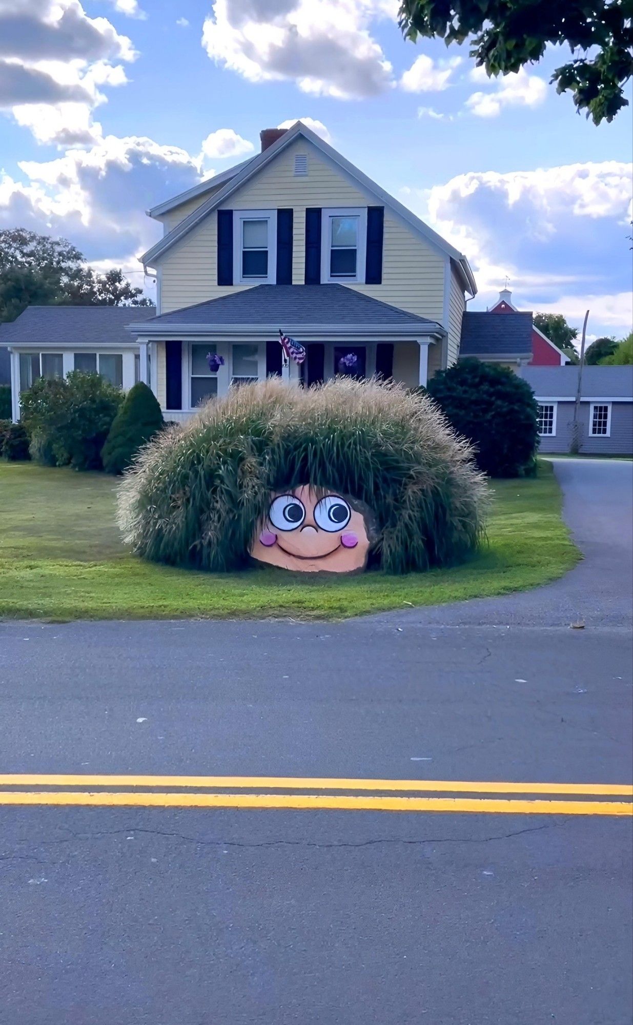 Streetart. A friendly, smiling face was spray-painted on a large decorative stone on the lawn in front of a property in Massachusetts. It has big eyes, a snub nose and a big smile. The highlight, however, is his hair. A large bushy shrub growing around the stone looks like a green troll's hairstyle. Simple and wonderful and funny.
Info: The stone has been given a new face because it had faded. The original was sprayed with stencils 5 years ago.