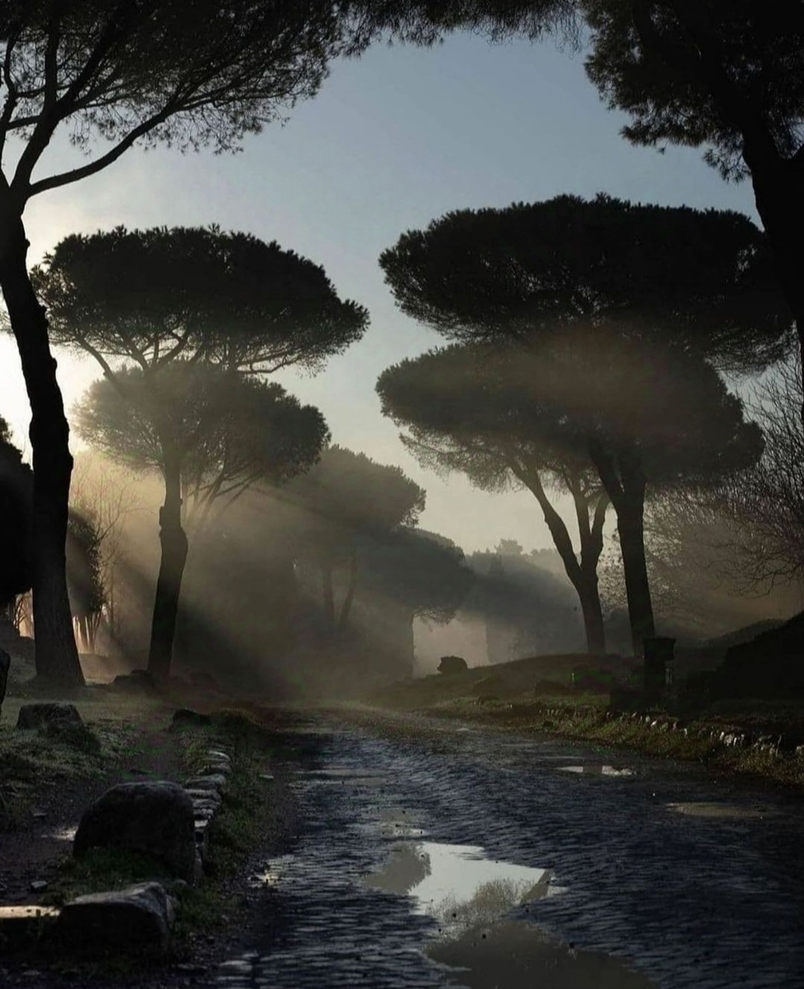 Photography. A color photo showing a section of the Via Appia in Rome at sunrise or sunset. The street is made of old cobblestones and has puddles that reflect the light. To the left and right of the road are tall trees with broad, flat crowns that look like umbrellas. The sun shines through the trees and creates long, oblique rays of light that become visible through the haze or mist in the air. The rays of light and the mist give the picture a mystical and tranquil atmosphere. The colors are predominantly dark with shades of green and brown, while the sky appears in a light blue. The combination of the historic cobblestones, the majestic trees and the dramatic play of light makes the picture particularly interesting and atmospheric.
Info: The Via Appia is a Roman road whose construction began in 312 BC under the consul Appius Claudius Caecus. Today, the Via Appia is an important part of the Italian road network as state road 7 (SS 7) and largely follows the course of the ancient road