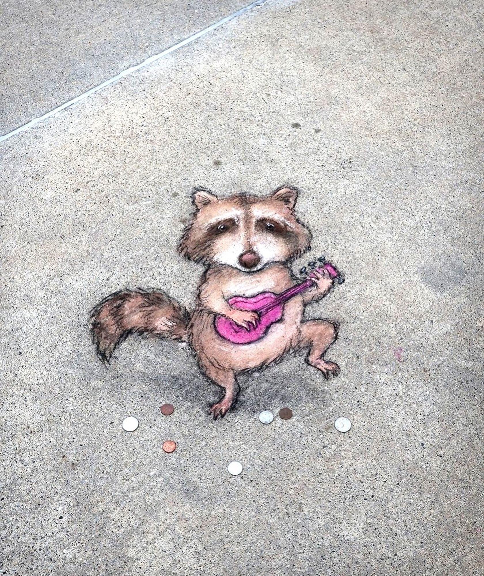 Streetart. A raccoon (named Caleb) was drawn with chalk on a sidewalk with a 3D effect. The fluffy raccoon stands on the ground with a red ukulele and plays. There are some (real) coins lying around him. Title: "Caleb is still trying to learn a song that will make people throw snacks."