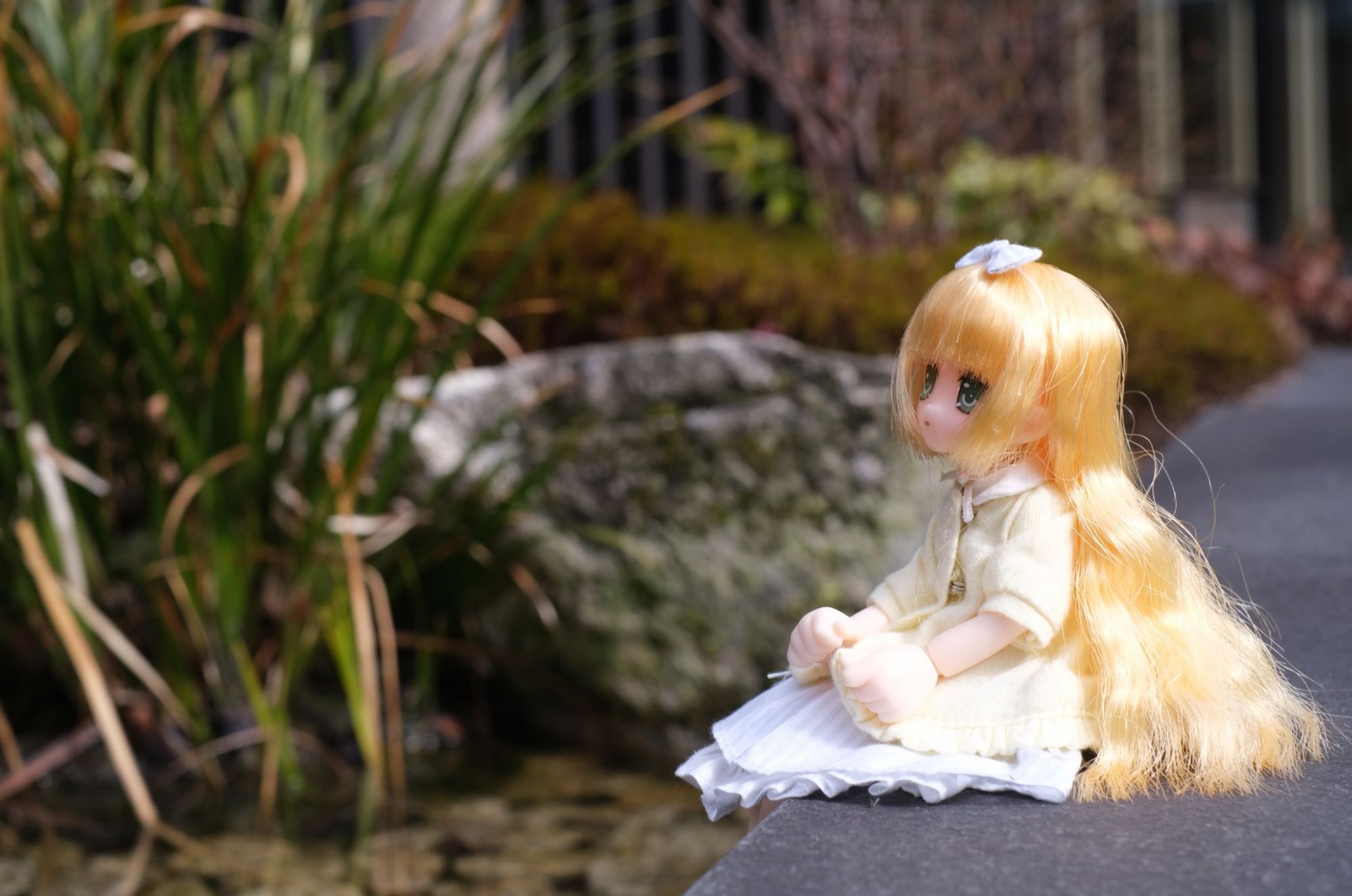 An Azone Lil' Fairy doll. She has long blonde hair, green eyes, a white/pale blue striped ribbon on her head, a yellow coat, and a white/pale blue striped dress. She’s sitting on a grey platform staring out into a grassy nature.