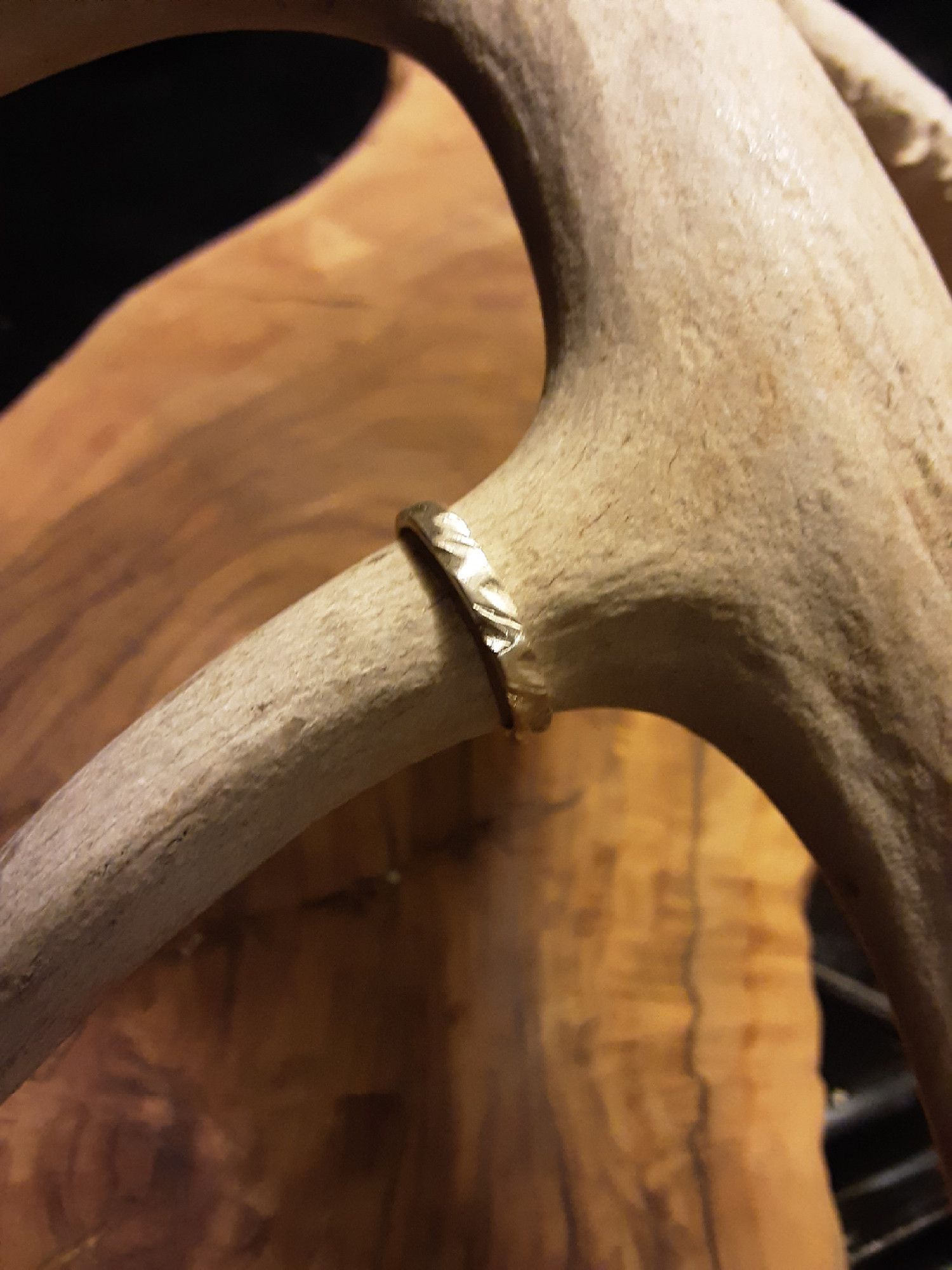 Carved Sterling silver ring displayed on deer antler