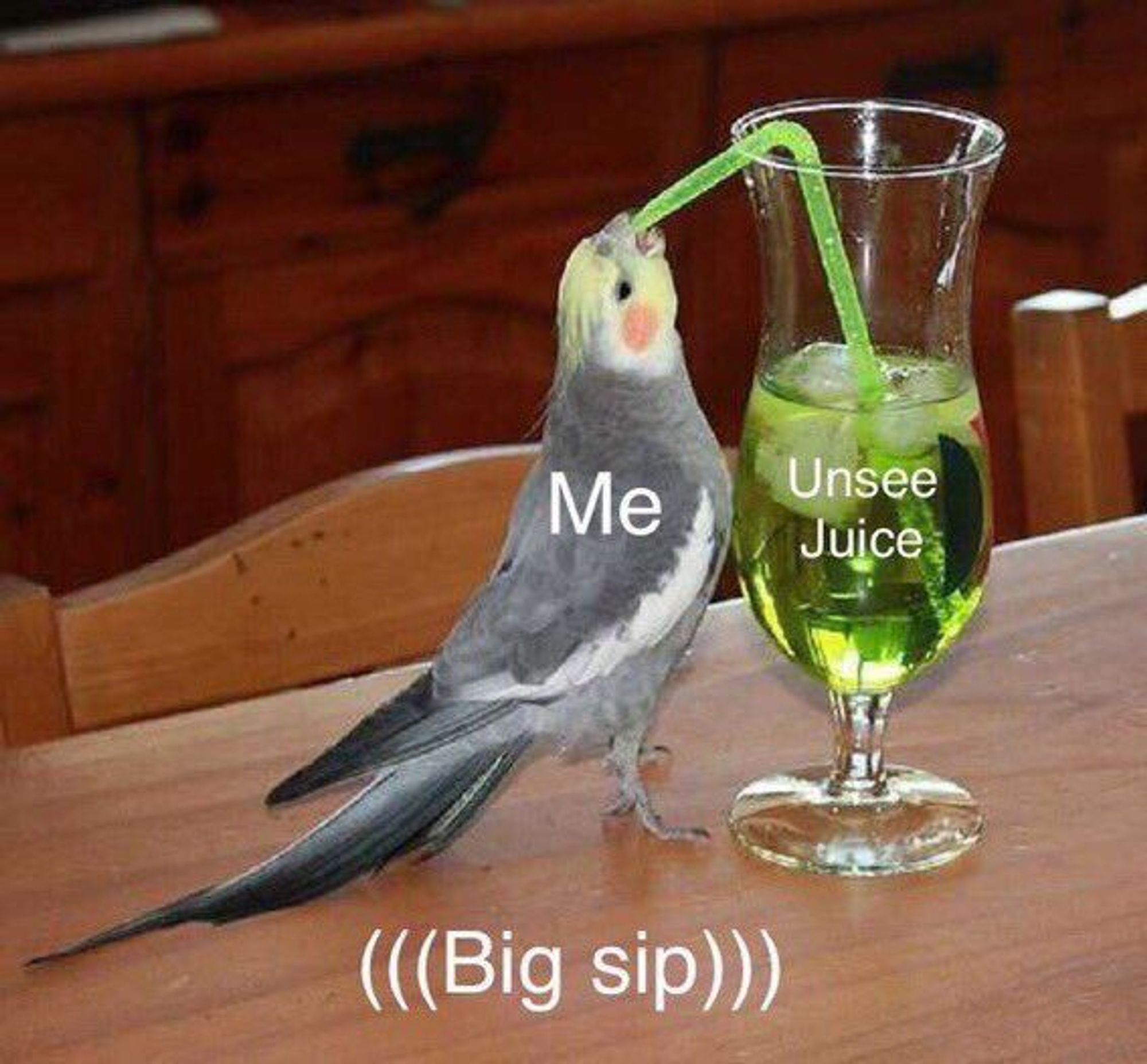 Me (a budgie) taking a big sip from a tall glass of unsee juice (green sugar water with ice).