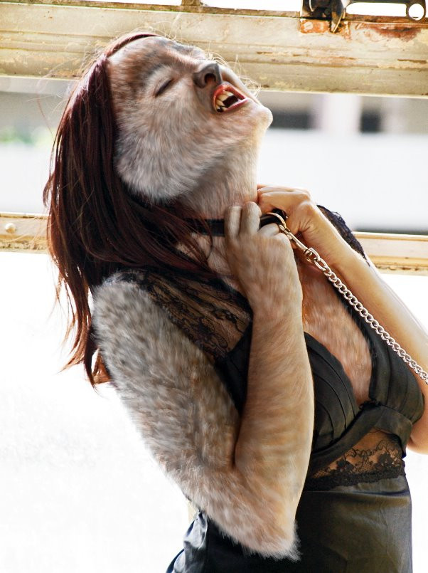 A woman turning into a werewolf. She is standing, arching backwards wearing a collar, chain, and a black lacey piece of lingerie. She is tugging at the collar, tossing her partly-transformed head back in ecstasy, lips parted, showing her fangs. Fur is sprouting from the top, down, with only a bit of fuzz on her hands and chest. 

#transformation #werewolf #tf #paintover #photoshop #scalebutt #furryart 