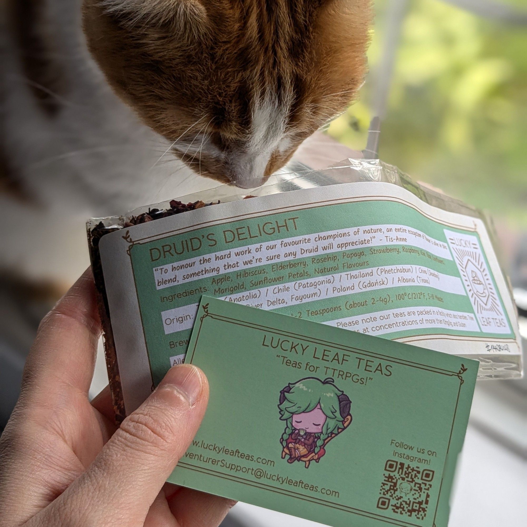 Photo of a hand holding a satchel of tea, and a curious cat sniffing it.
Tea reads - Druid's Delight mixed by 'Lucky leaf Teas', small family owned venture.