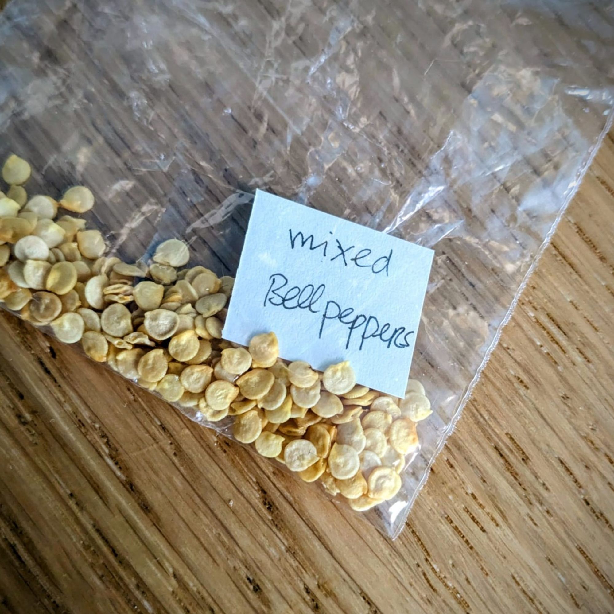 Small plastic bag containing seeds and the label 'mixed bell peppers'.