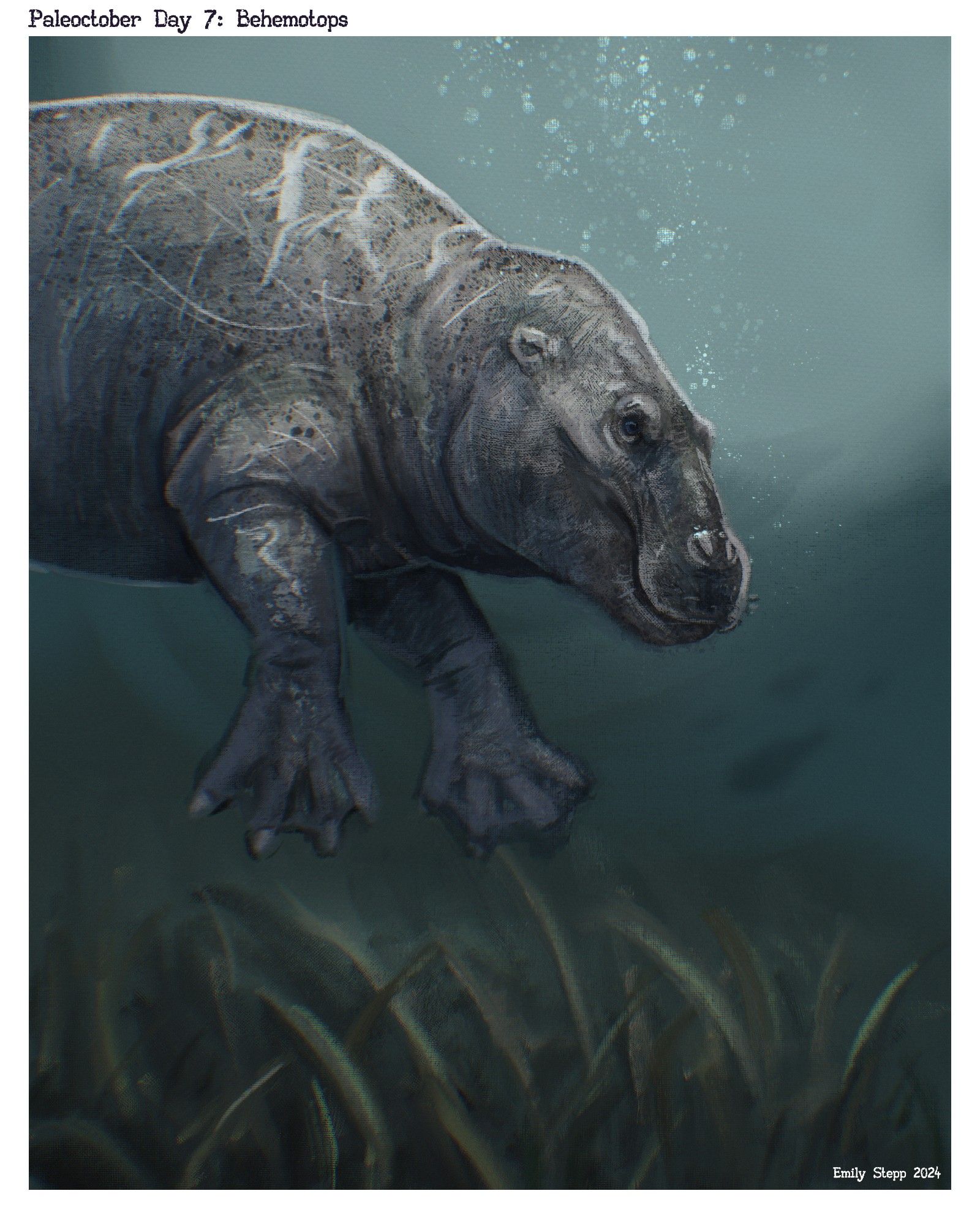 Behemotops speedpaint underwater diving toward seagrass.