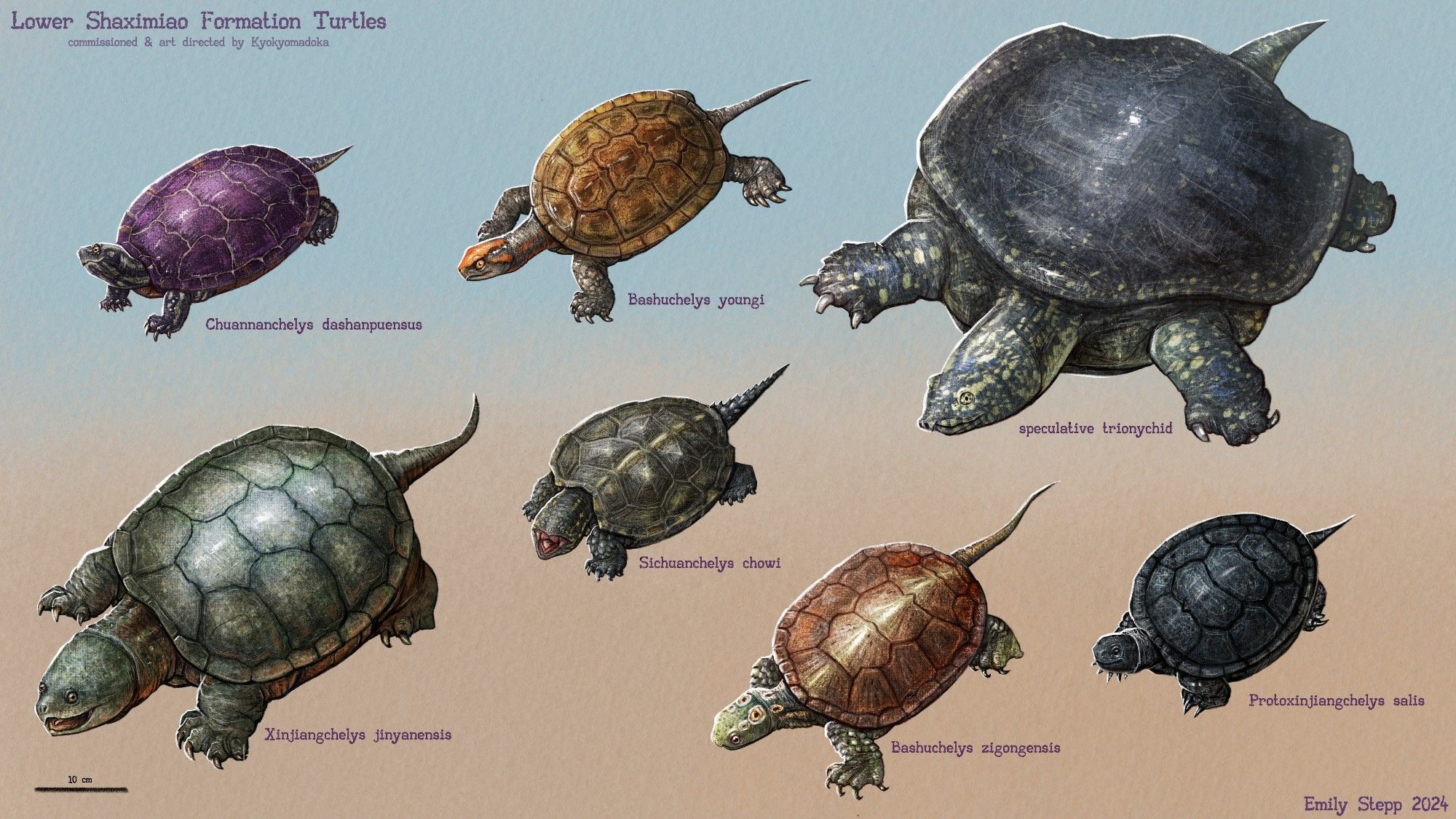 Colorful digital sketches of two species of Bashuchelys, Sichuanchelys, Protoxinjiangchelys, Xinjiangchelys, Chuannanchelys, and a speculative softshell trionychid.