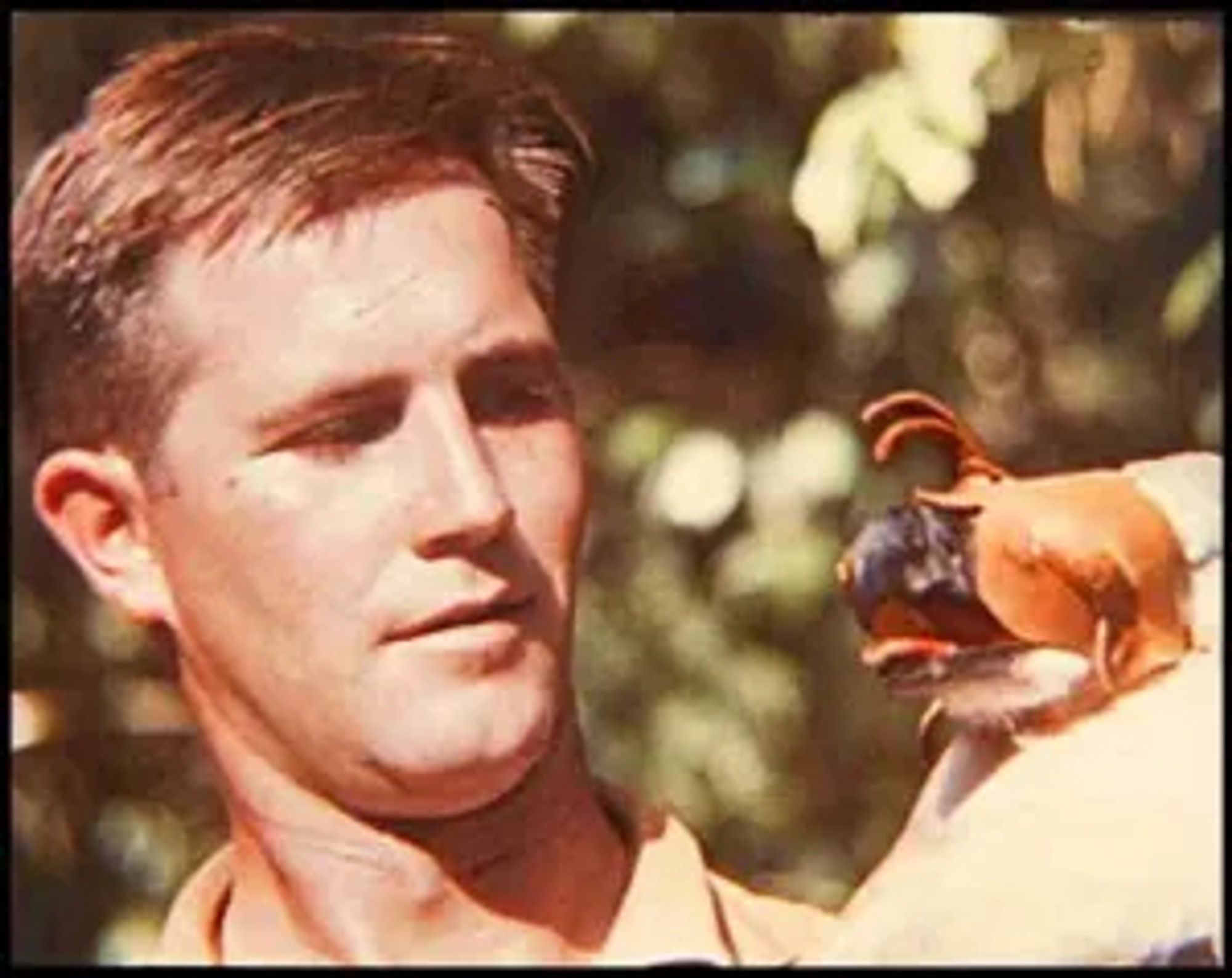 Jim Fowler from *Mutual of Omaha's Wild Kingdom* holding a hooded bird of prey