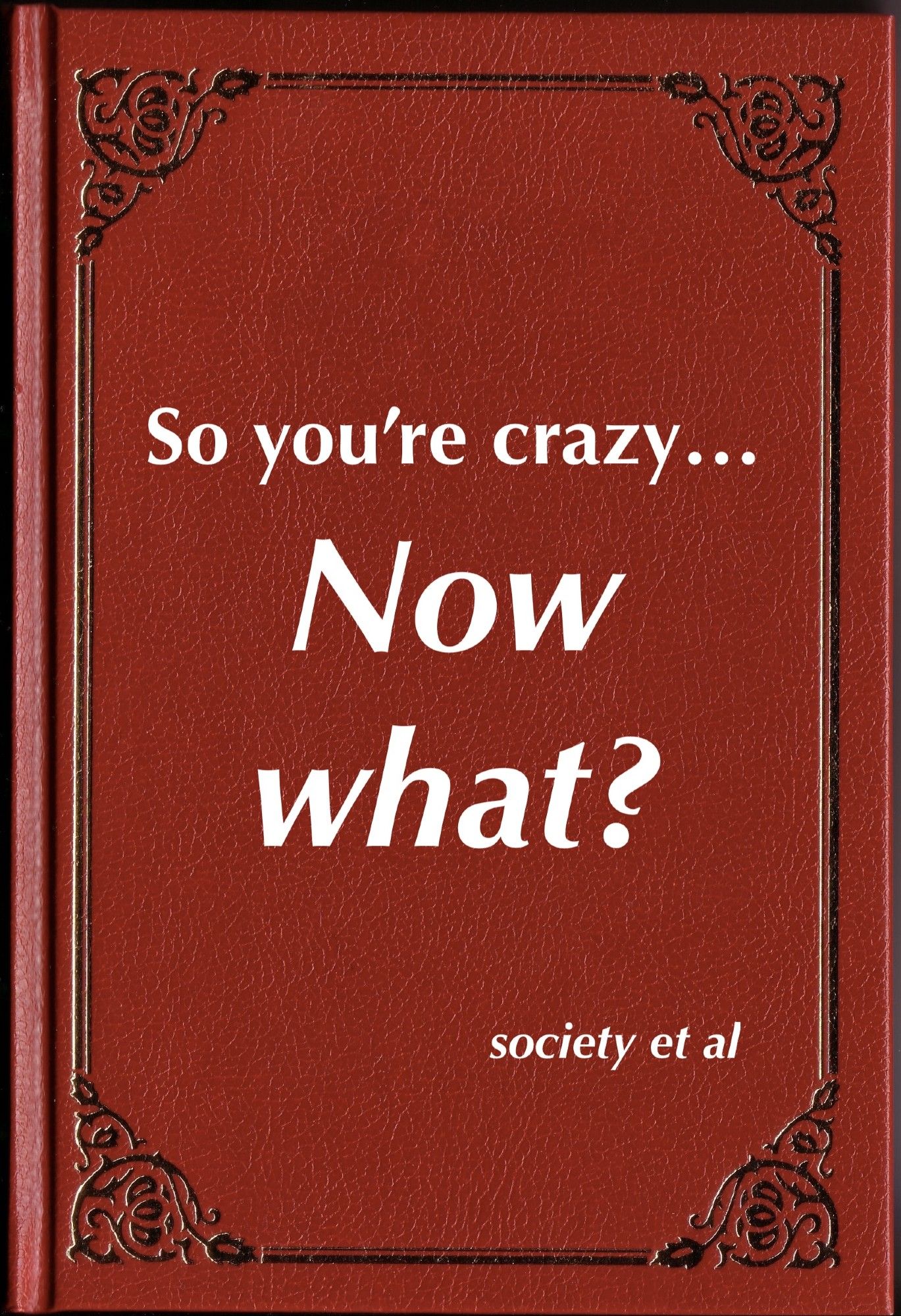 Red book cover, "So you're crazy… Now what?" by society et al