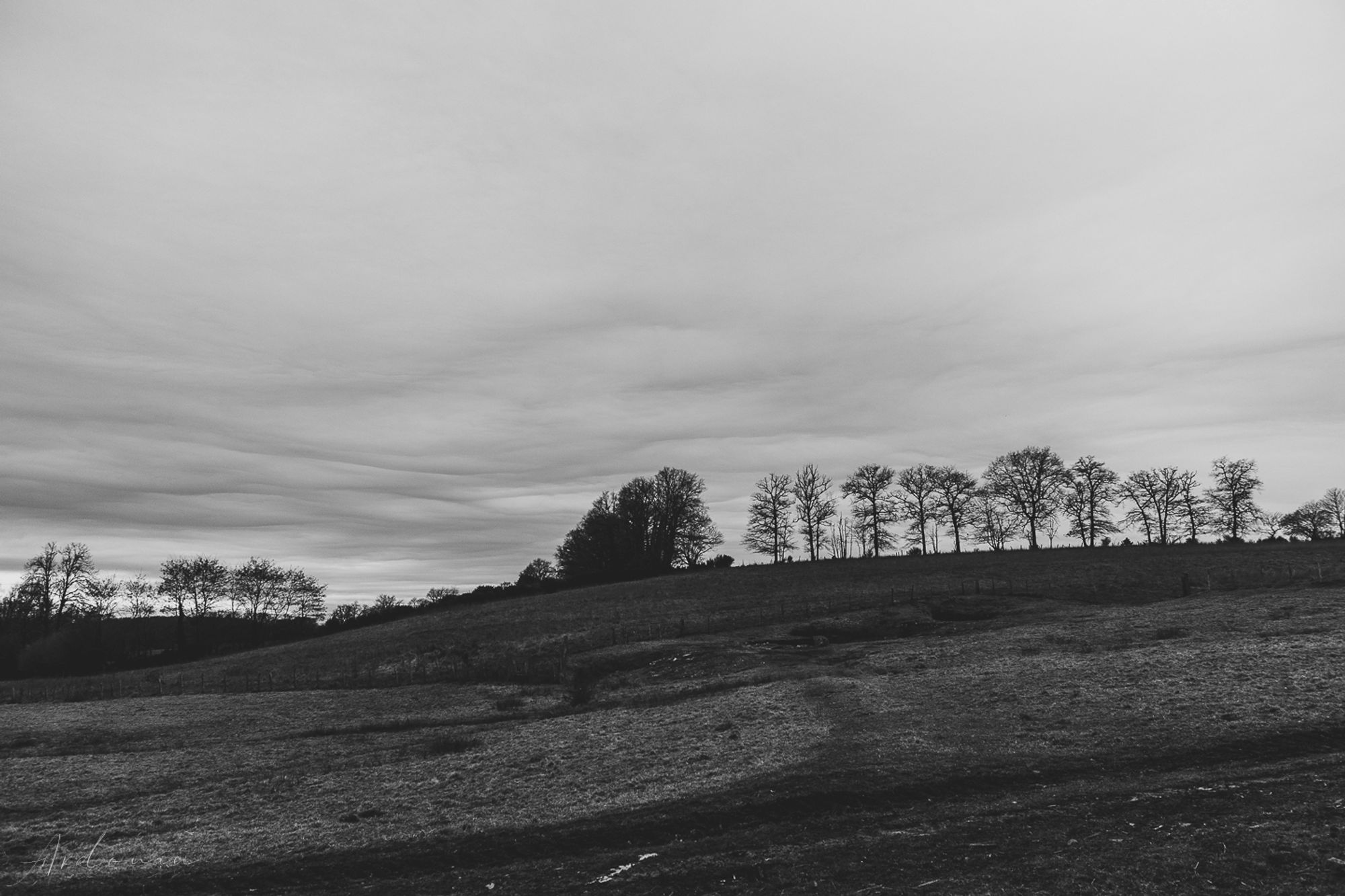 Photo noir et blanc de paysage avec arbres en arrière-plan et ciel nuageux.