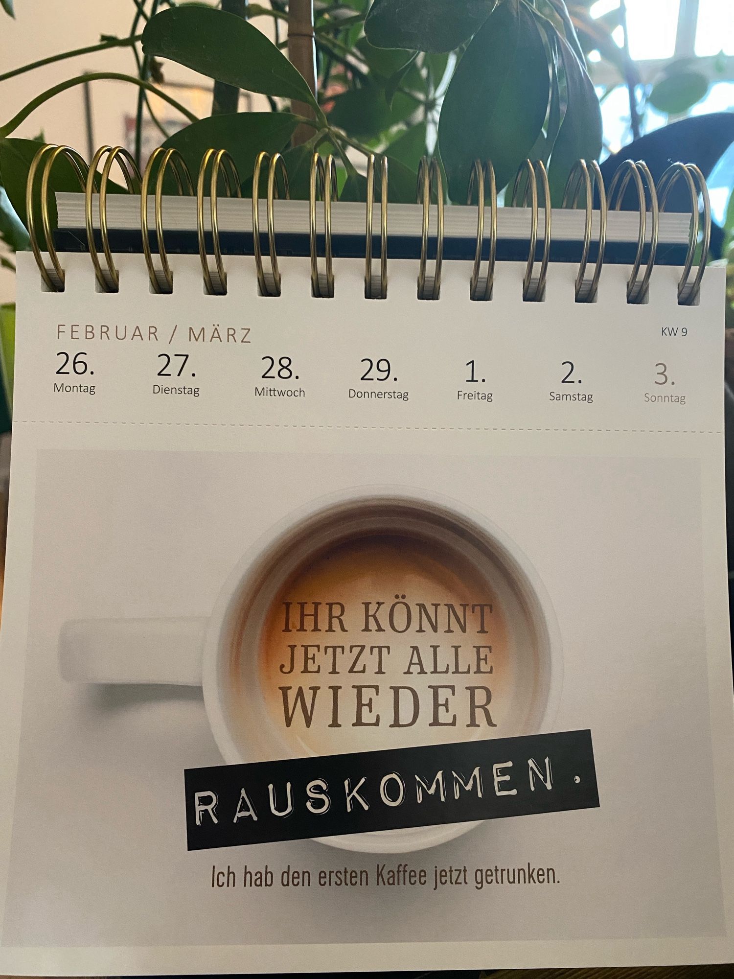 Kalenderblatt der Woche mit dem Spruch: „Ihr könnt jetzt alle wieder rauskommen. Ich habe den ersten Kaffee getrunken.“