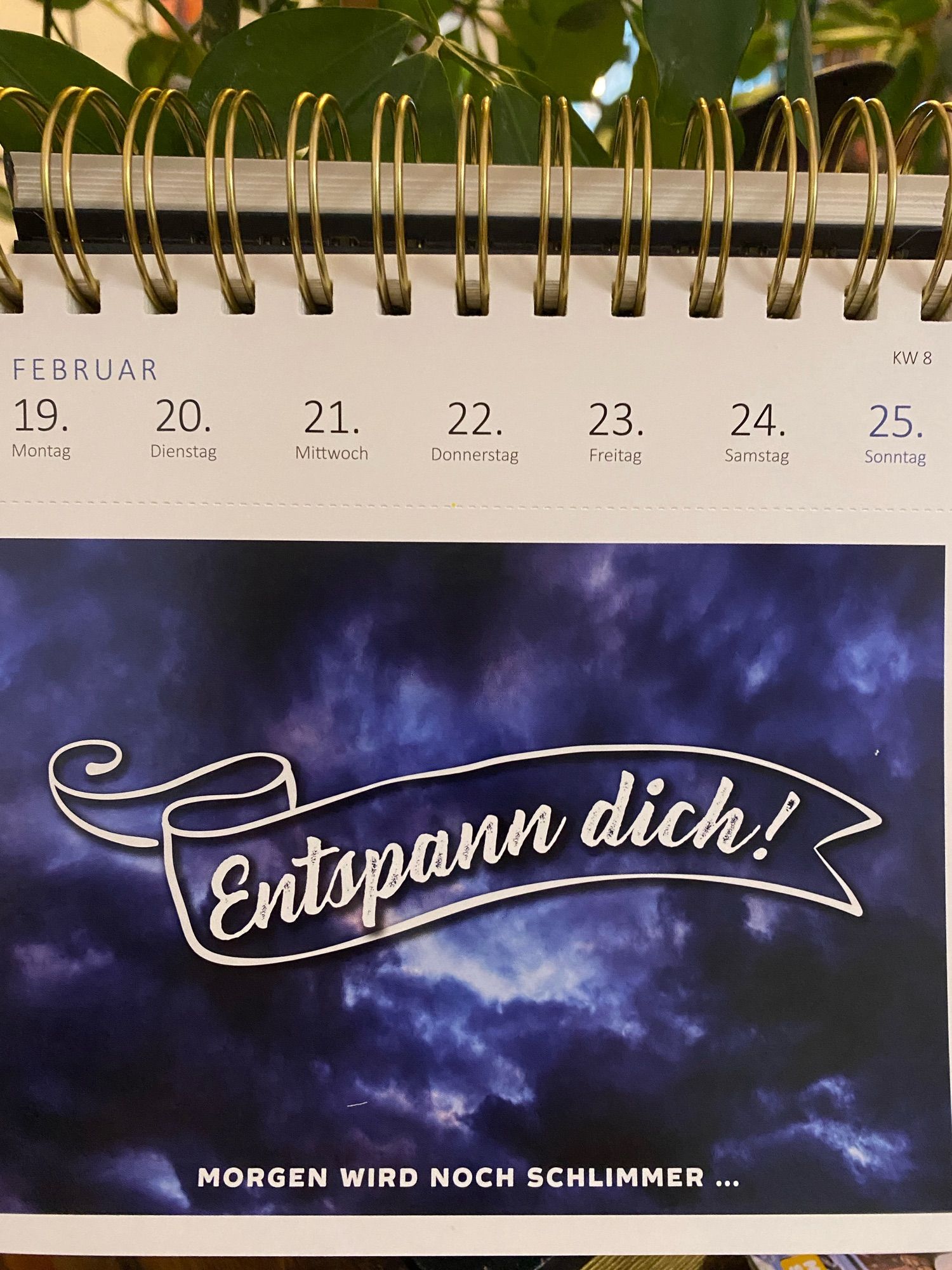 Kalenderspruch der Woche: Entspann dich!
Morgen wird noch schlimmer…