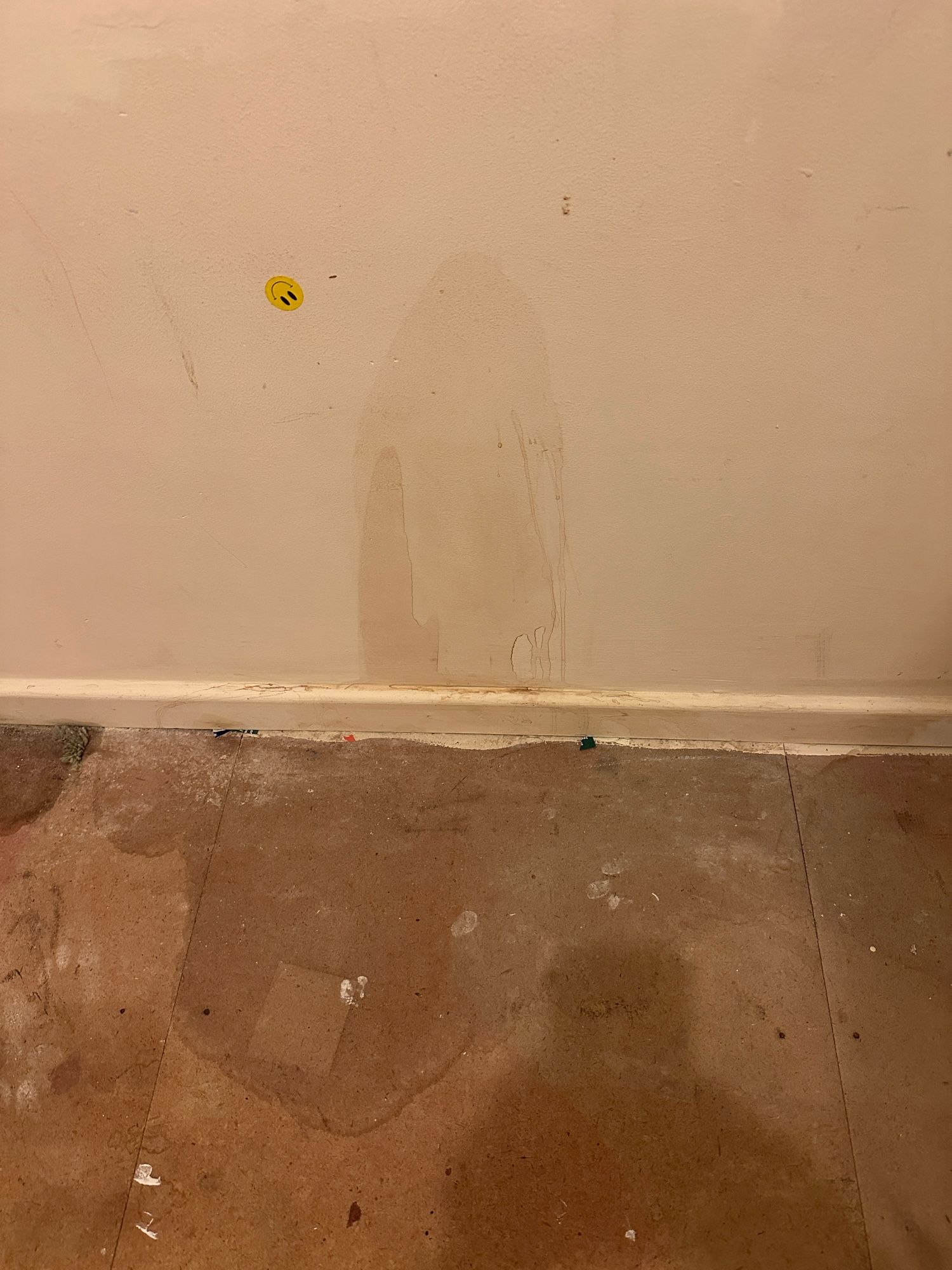 An indeterminate stain on the wall about 2 feet up, could be piss, could be puke, could just be a spilled drink. It’s been allowed to soak into the fibreboard flooring. There is a 🙂 sticker upside down on the wall next to it