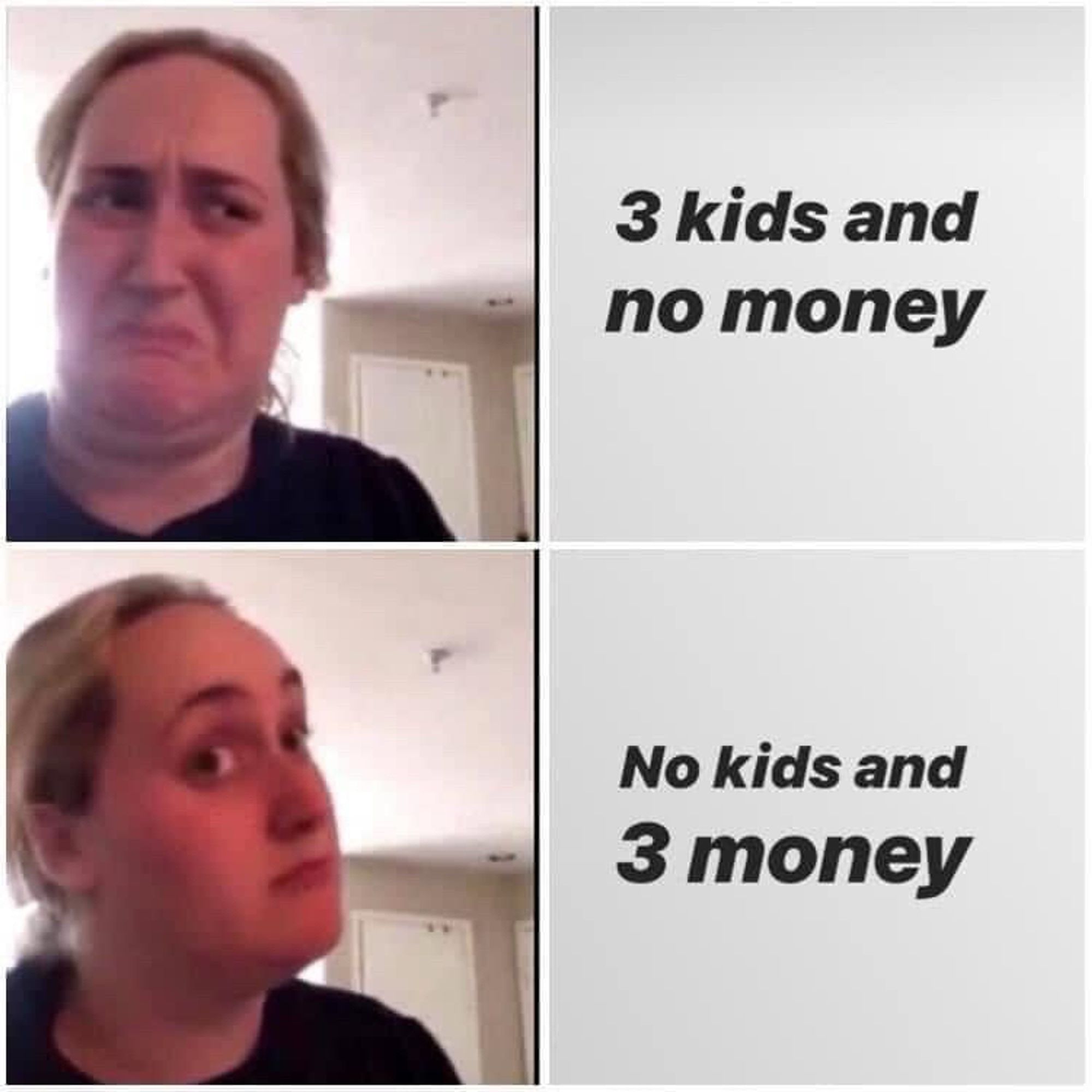 The Brittney Broski “Kombucha girl” meme, the first panel where she’s screwed up her face says “Three kids and no money”. The bottom, intrigued one says “No kids and three money”