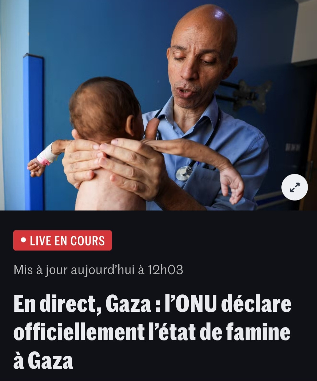 Article du Monde :
En direct, Gaza : l’ONU déclare officiellement l’état de famine à Gaza