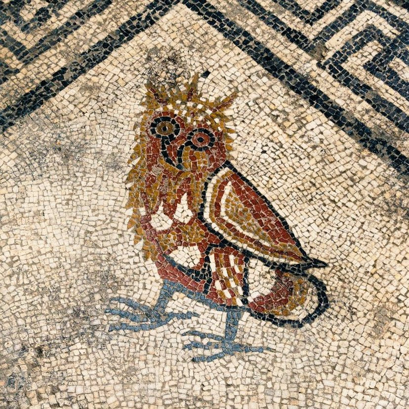 A Roman mosaic depicting an owl with wide eyes, brown and red body, and blue feet, set against a cream-colored background with a black geometric border. The owl looks a bit deranged.