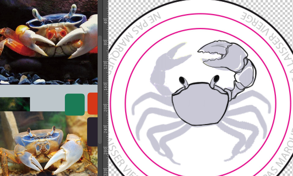 screenshot with rainbow african land crabs photo references and a started drawing of said crab.