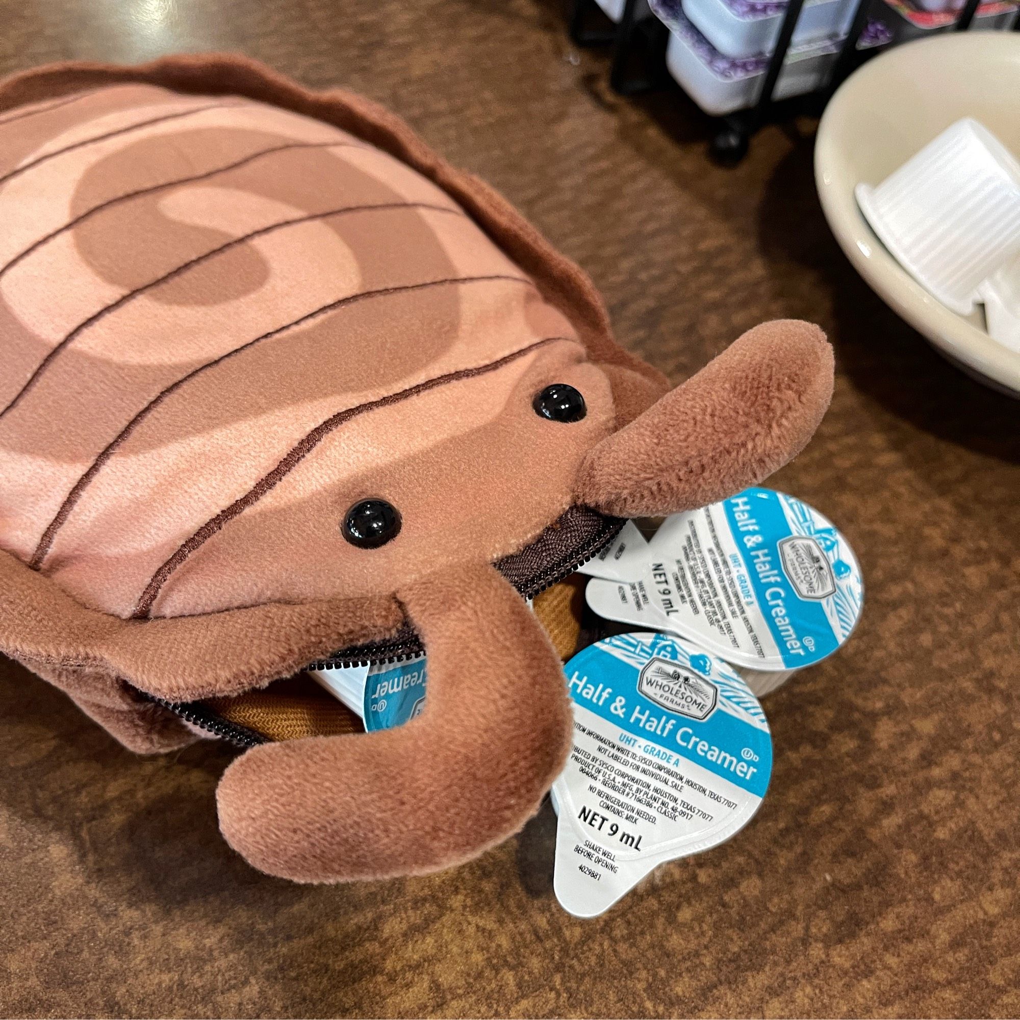 Pictures of rye-sopod the passcase plush at a café