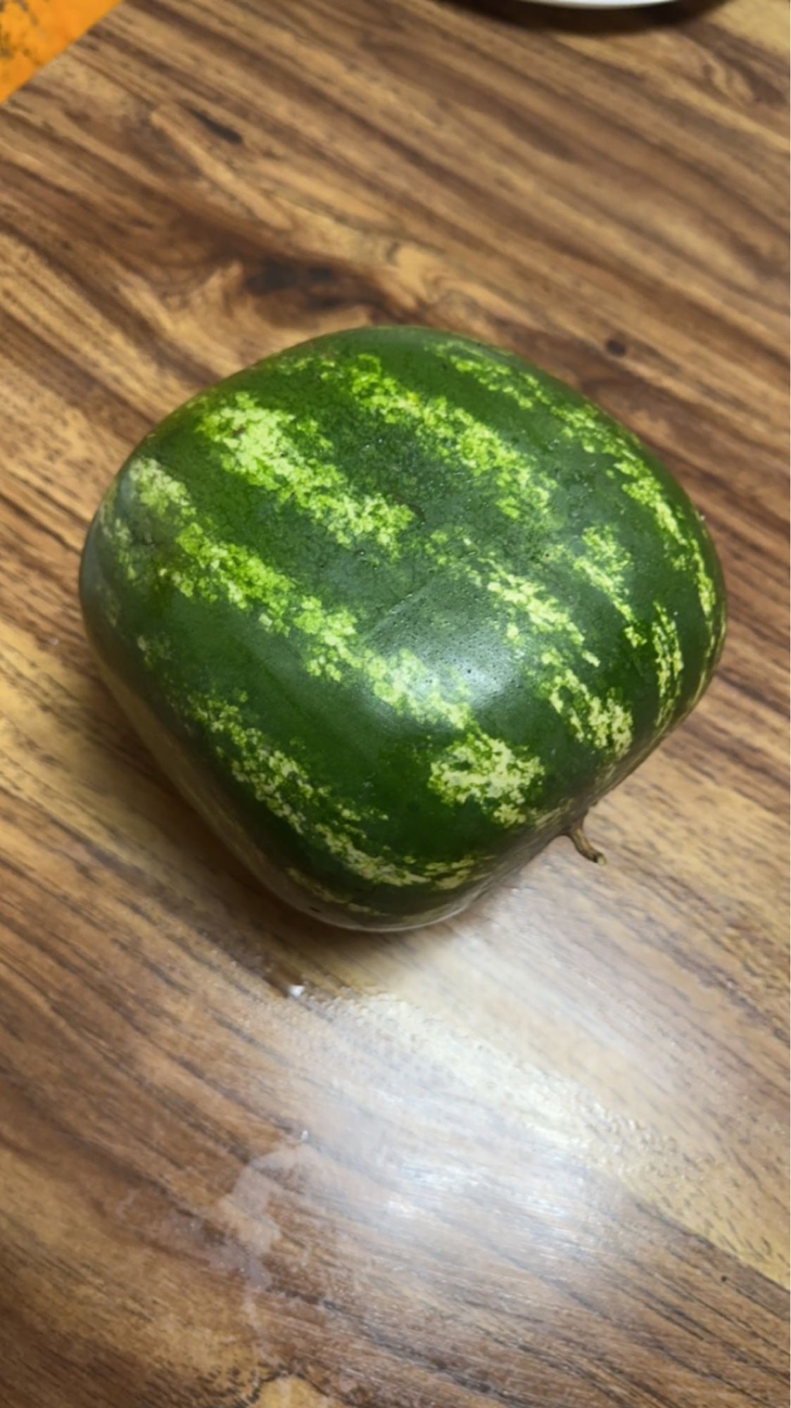 The cube shaped watermelon. Green with yellowing stripes.