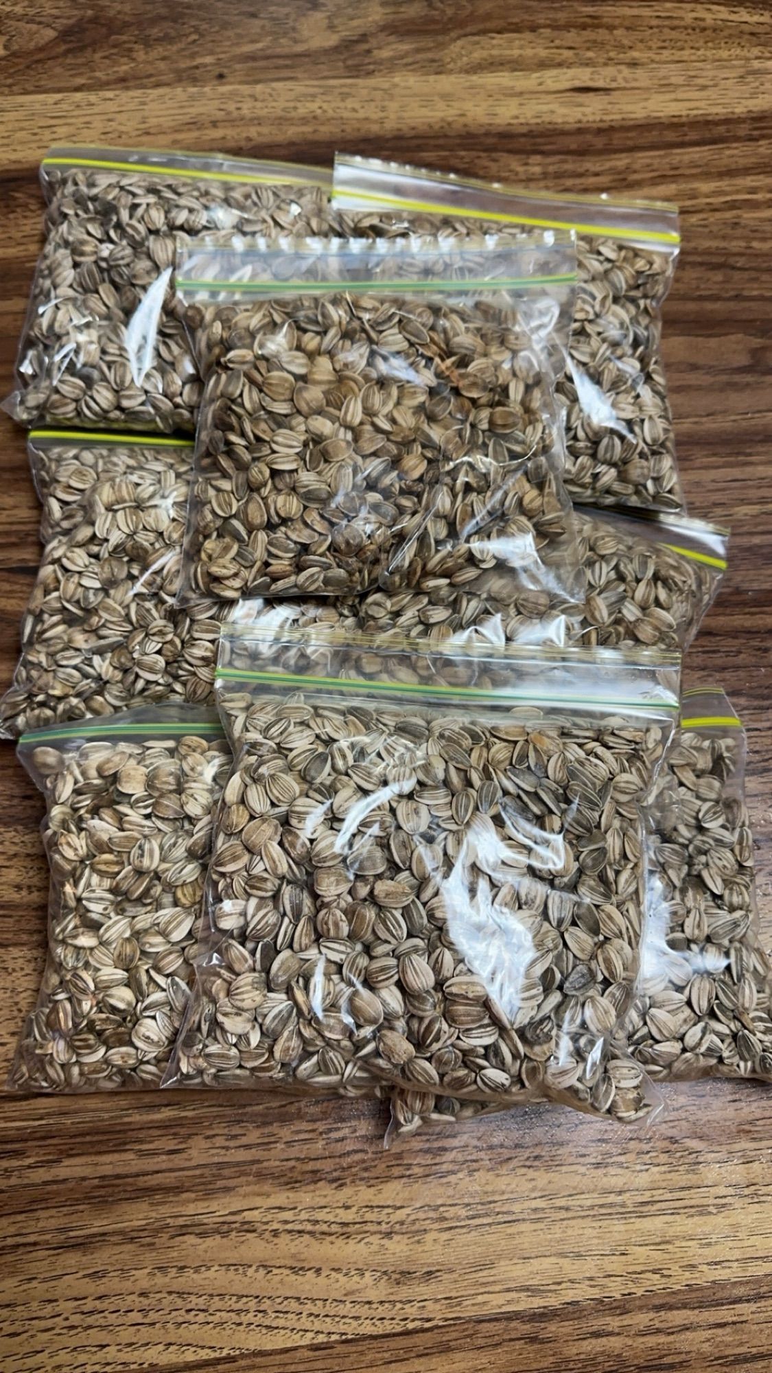 Sandwich bags filled with the roasted sunflower seeds, ready to eat.