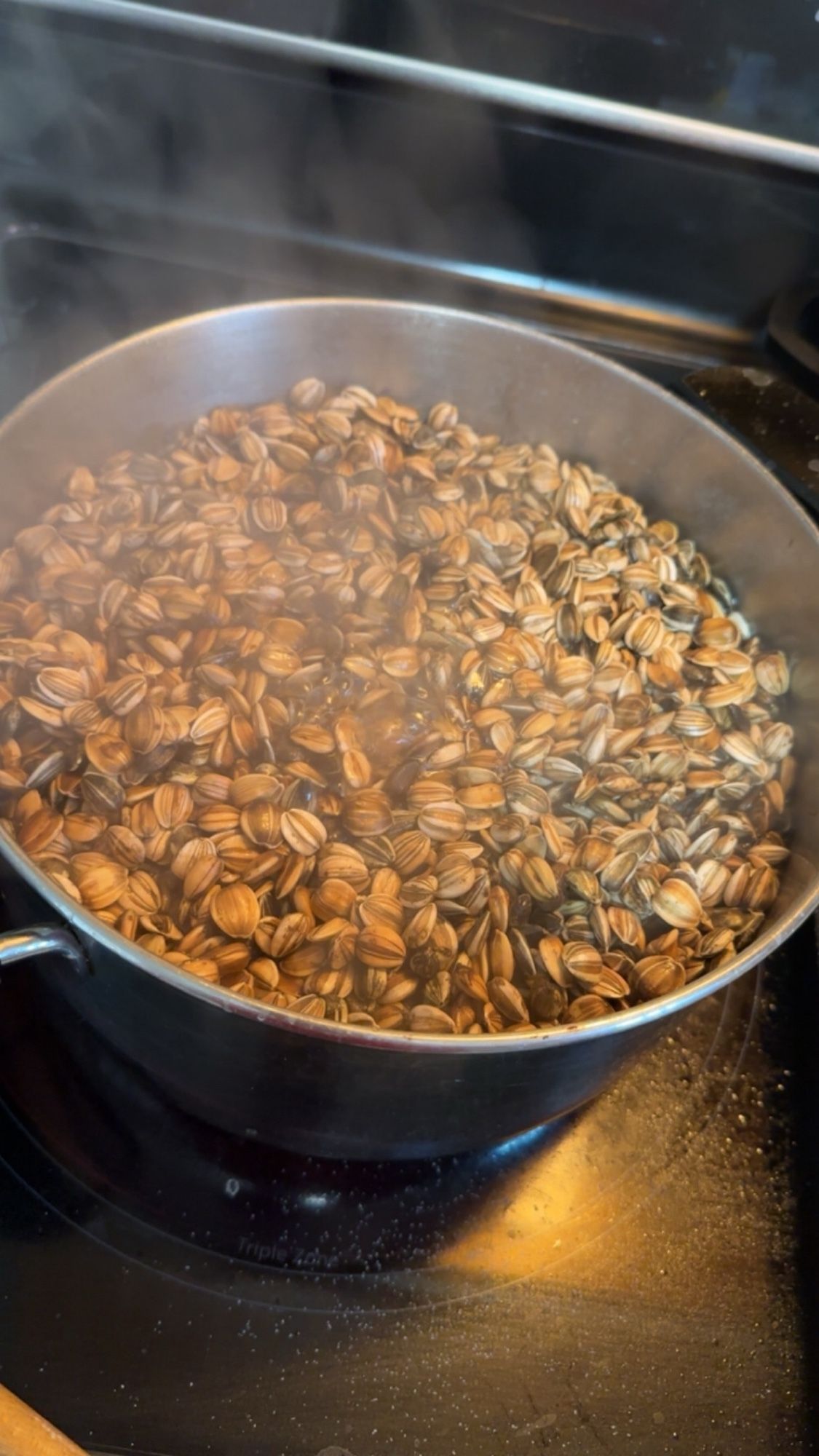 A pot with sunflower seeds and salt boiling in water.