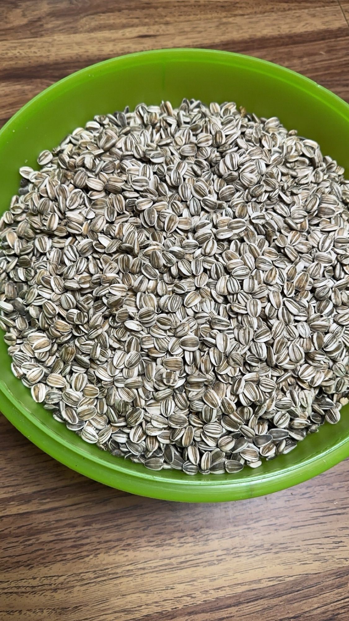 A large green bowl almost filled with raw sunflower seeds.