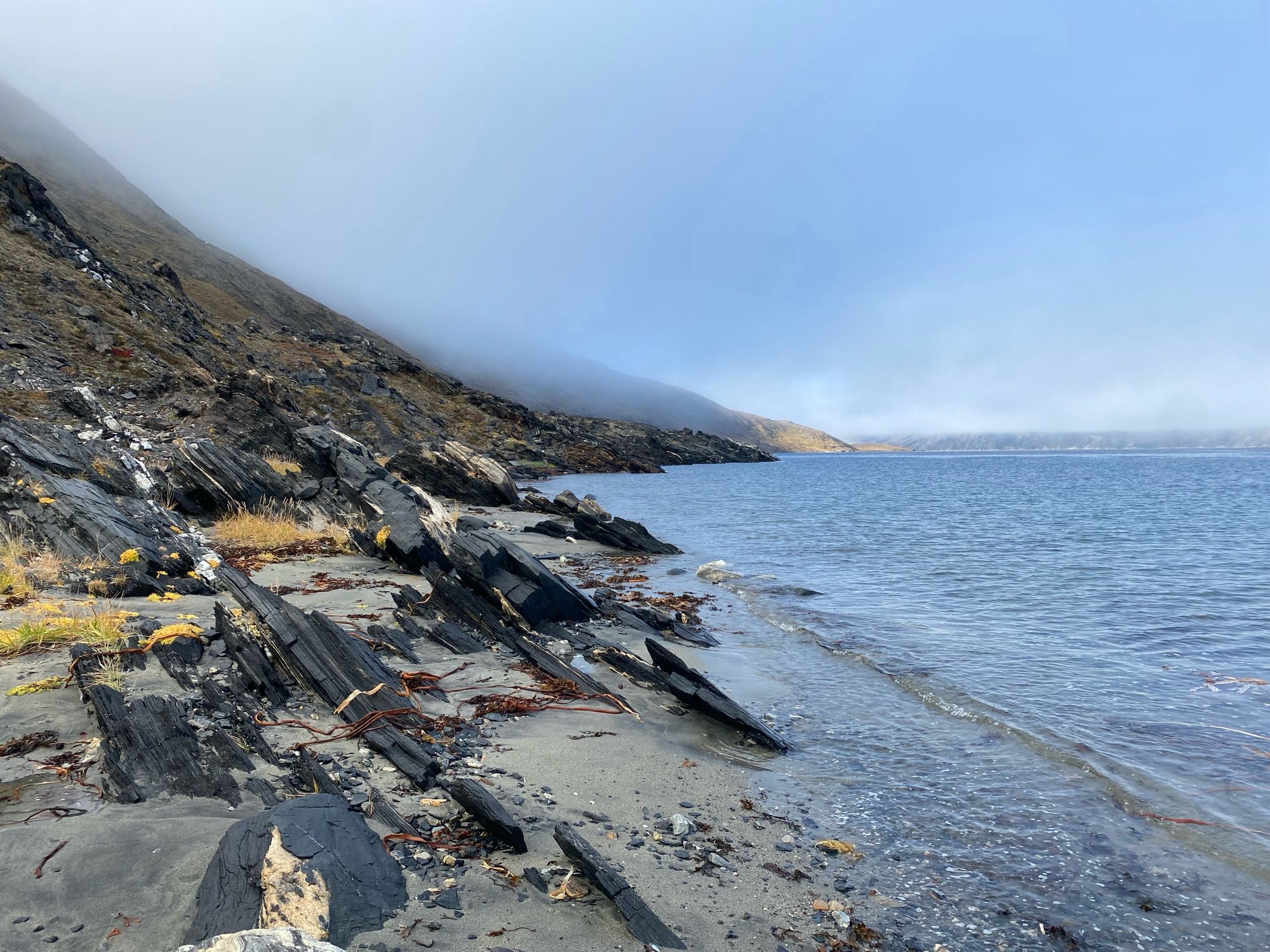 Steep misted hillside with tundra and rocky outcrops.  Sandy shore in foreground.