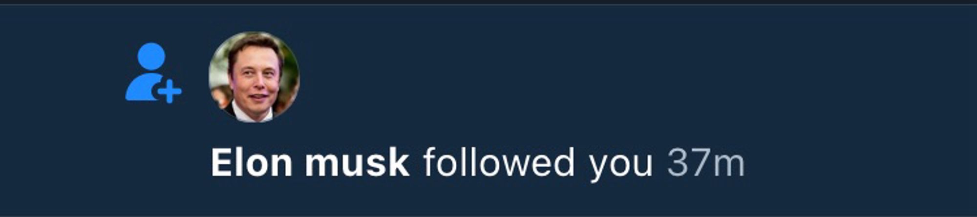 Screen grab of a blue sky notification saying 'Elon musk followed you'