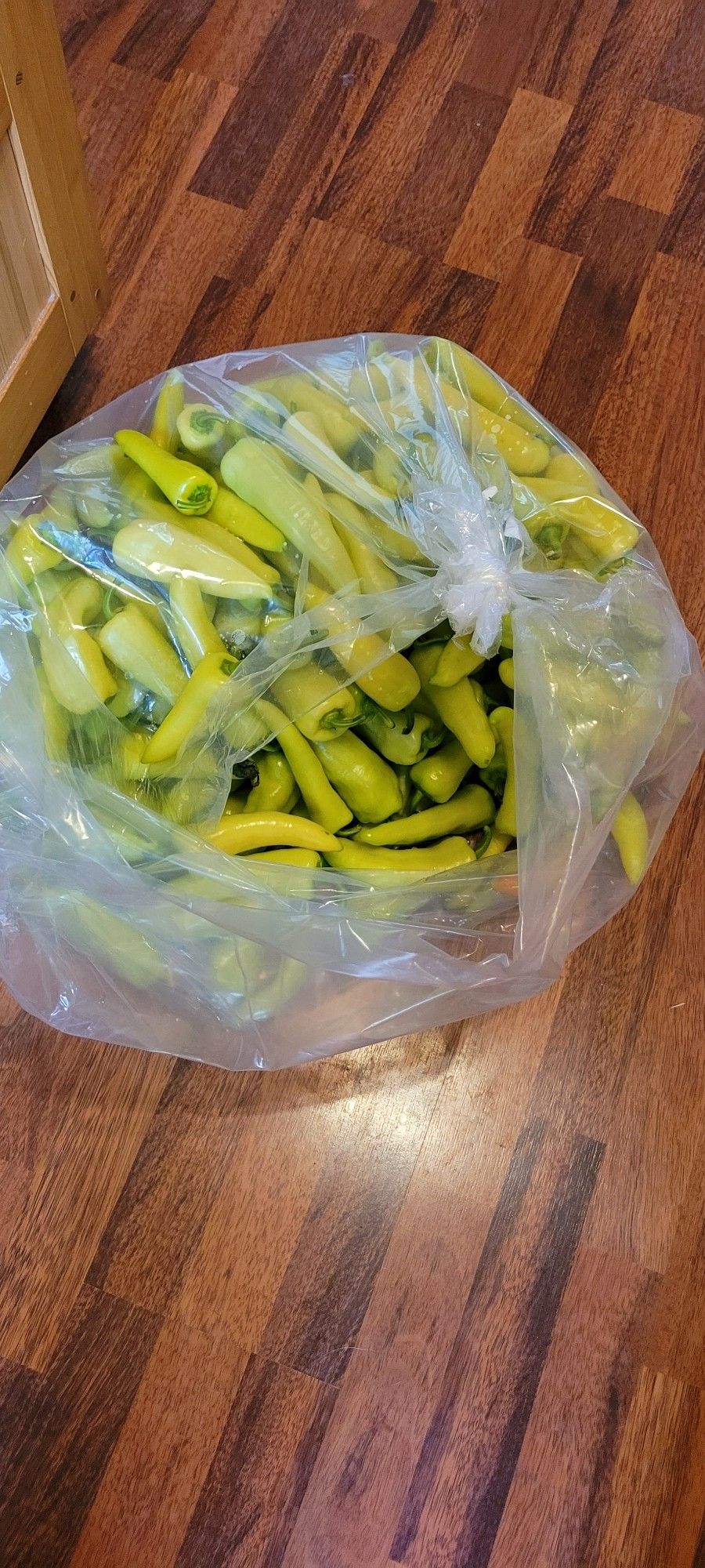 A bushel of capsaicin peppers.