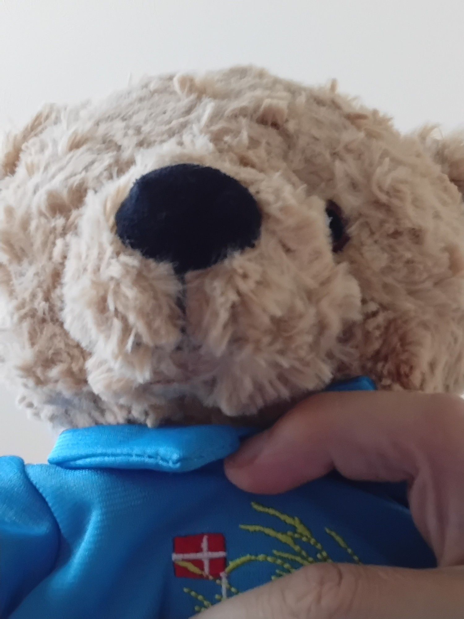 Der Kopf und halbe Oberkörper eines beigebraunen Plüsch Teddys. Zwei Finger halten ihn unter Kinn und an der Brust. Er trägt ein blaues Shirt mit einer kleinen dänischen Flagge an ein paar Grashalmen