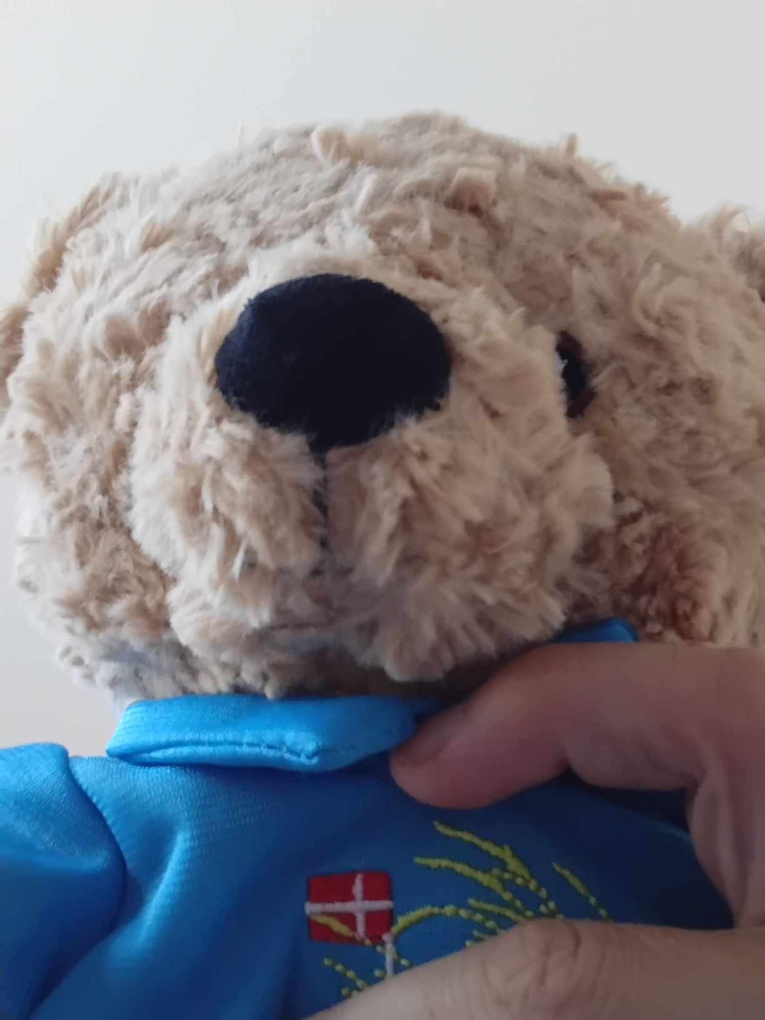 Ein hellbrauner Teddykopf mit großer schwarzer Nase und sichtbarem linken Auge. Er wird gehalten von zwei Fingern, einer unter seinem Kinn und einer an der Brust. Der Teddy trägt ein blaues Hemd mit Kragen auf dem eine dänische Flagge ist.